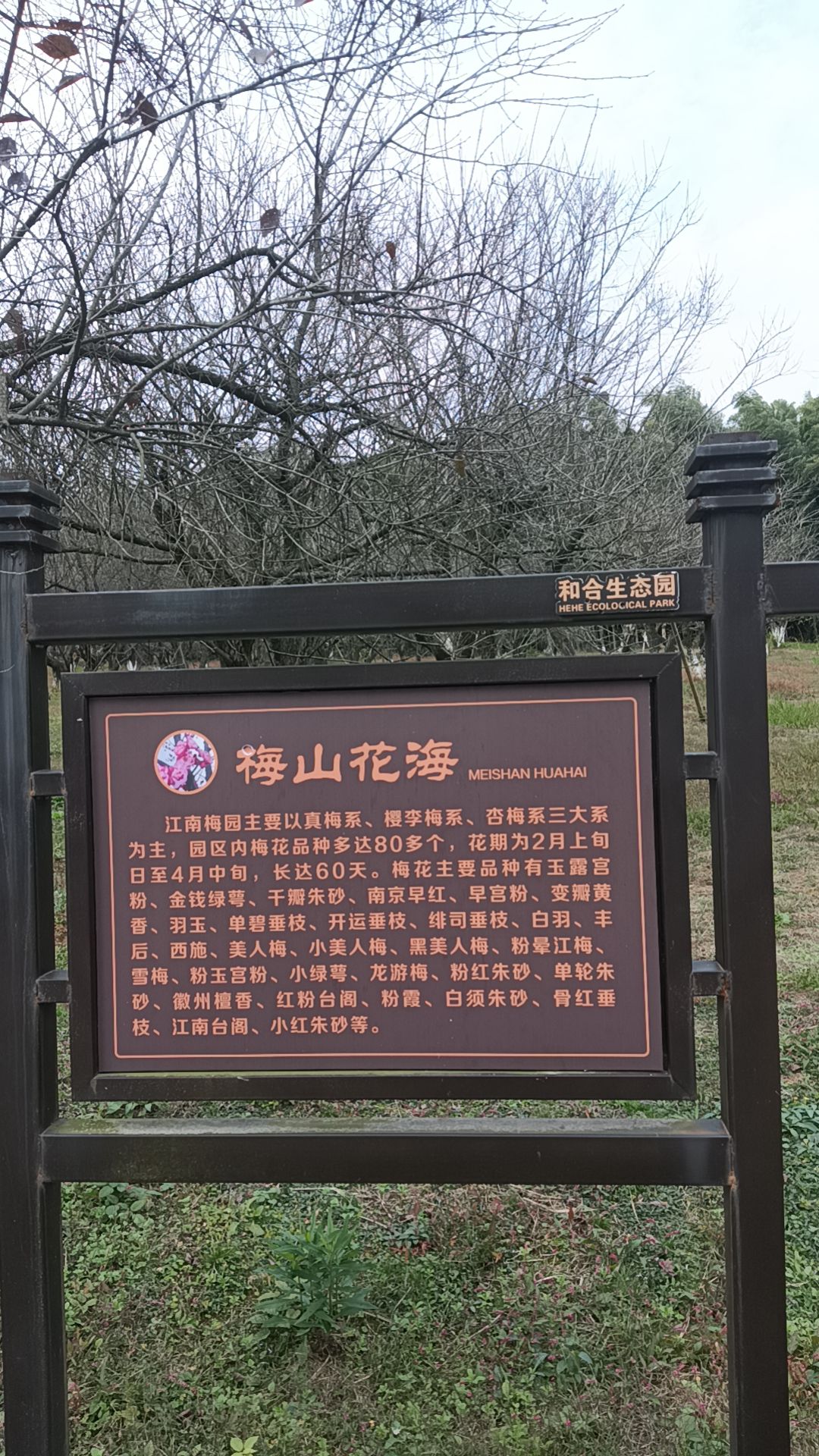 广德云花谷旅行图片 2