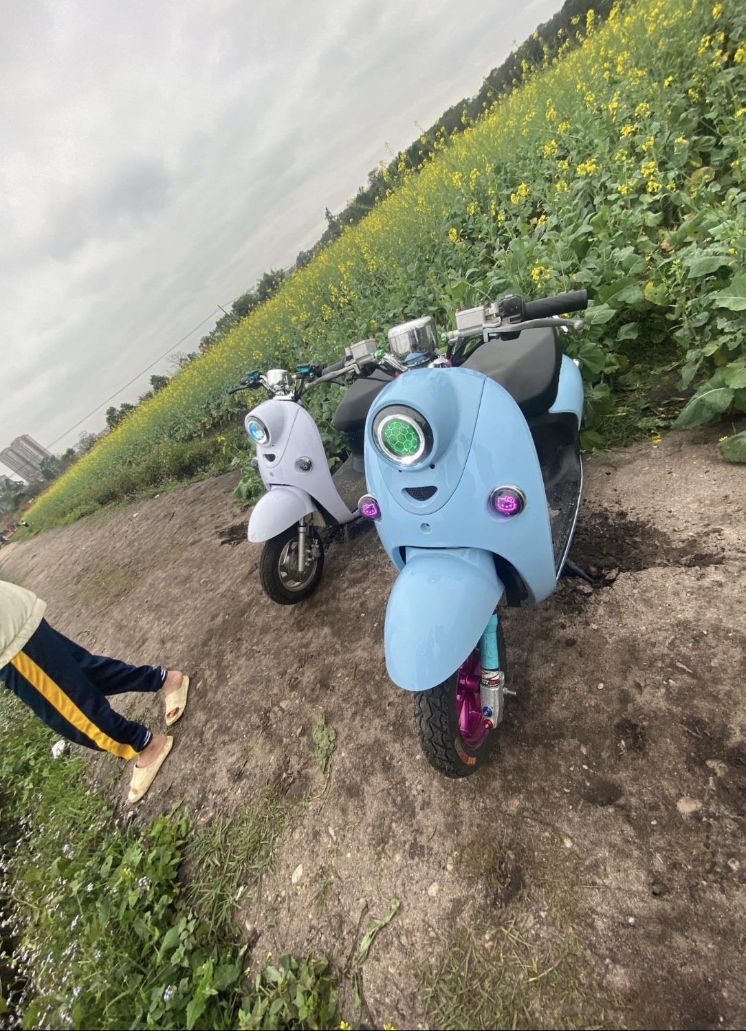 横山湿地公园旅行图片 1
