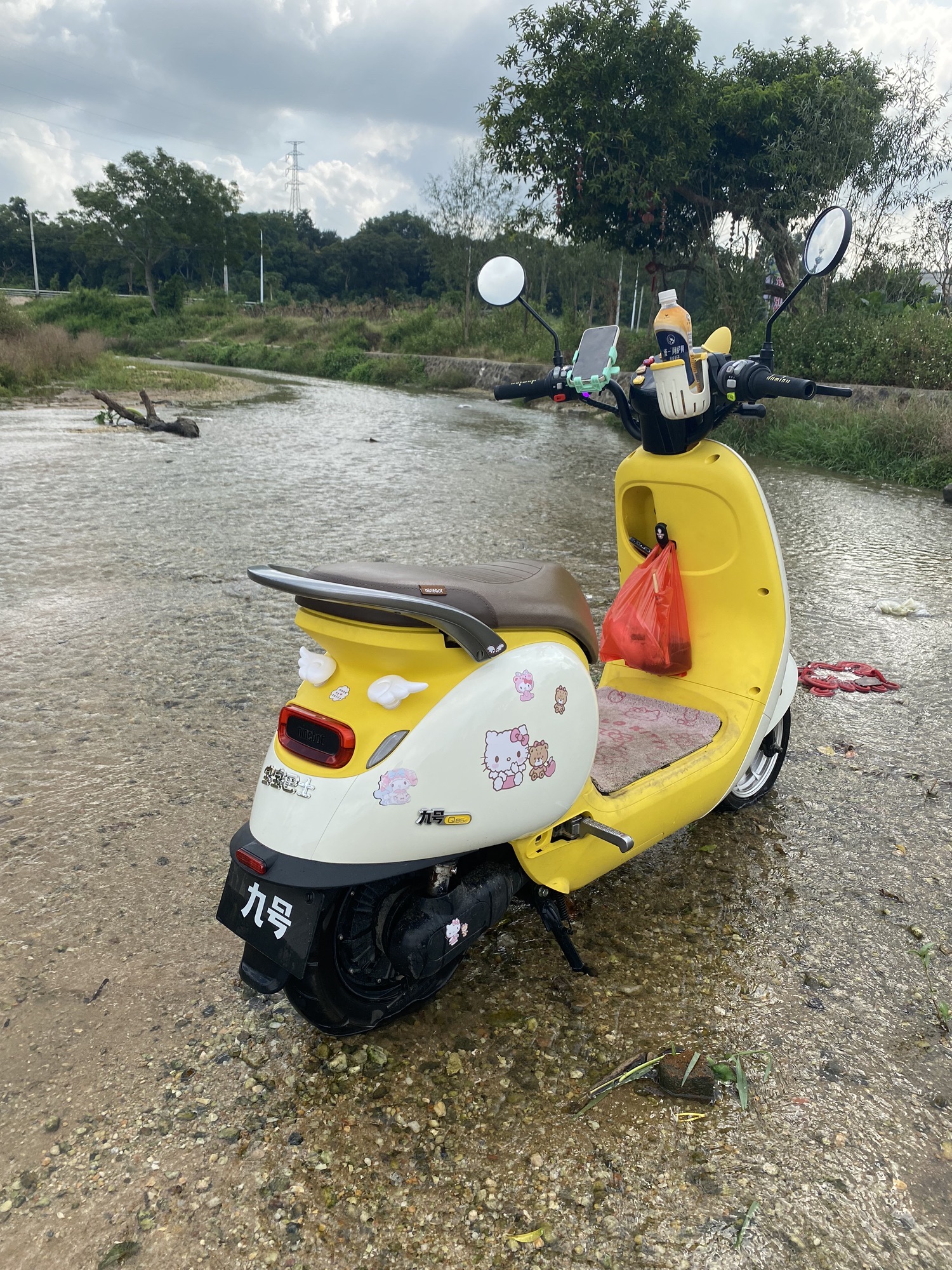 横山湿地公园旅行图片 1