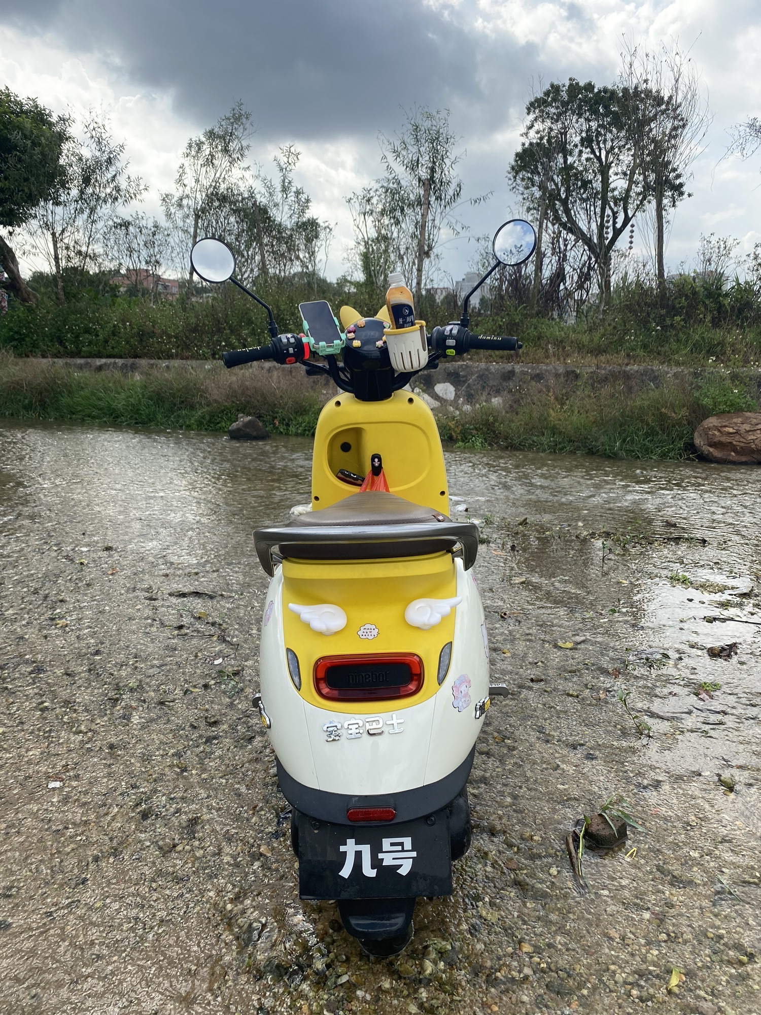 横山湿地公园旅行图片 3
