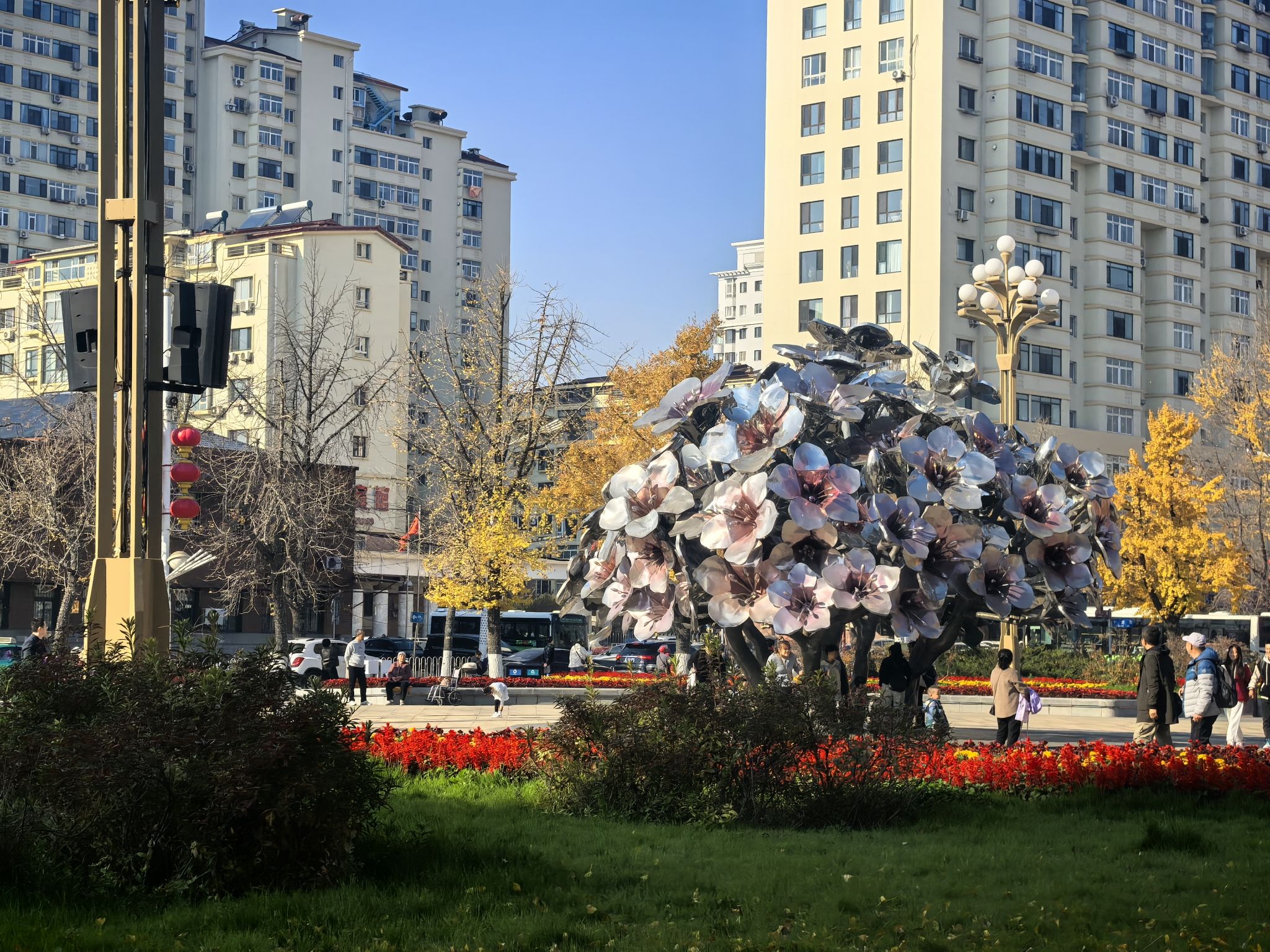 丹东市杜鹃广场旅行图片 1