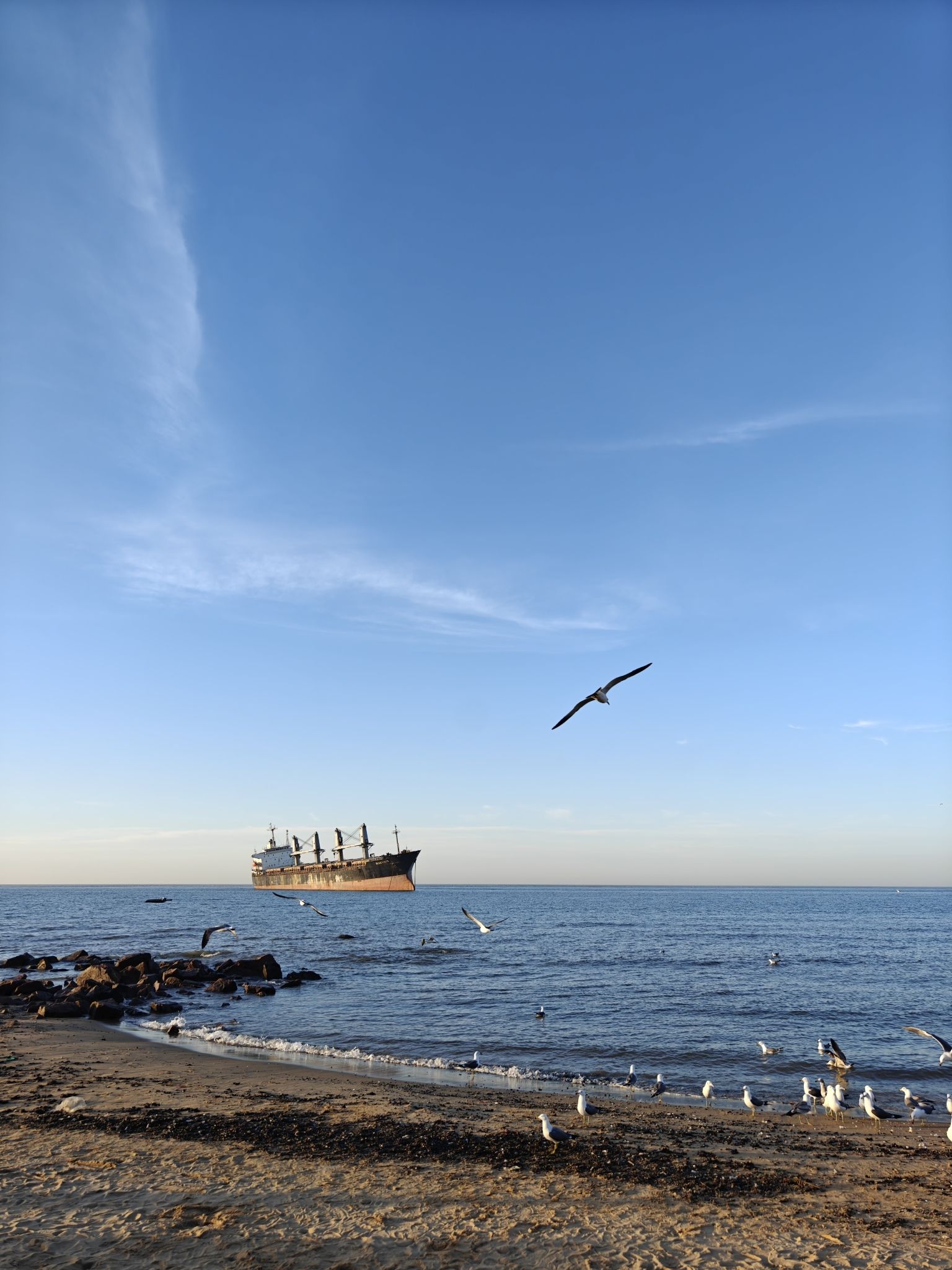 布鲁维斯海滩旅行图片 3