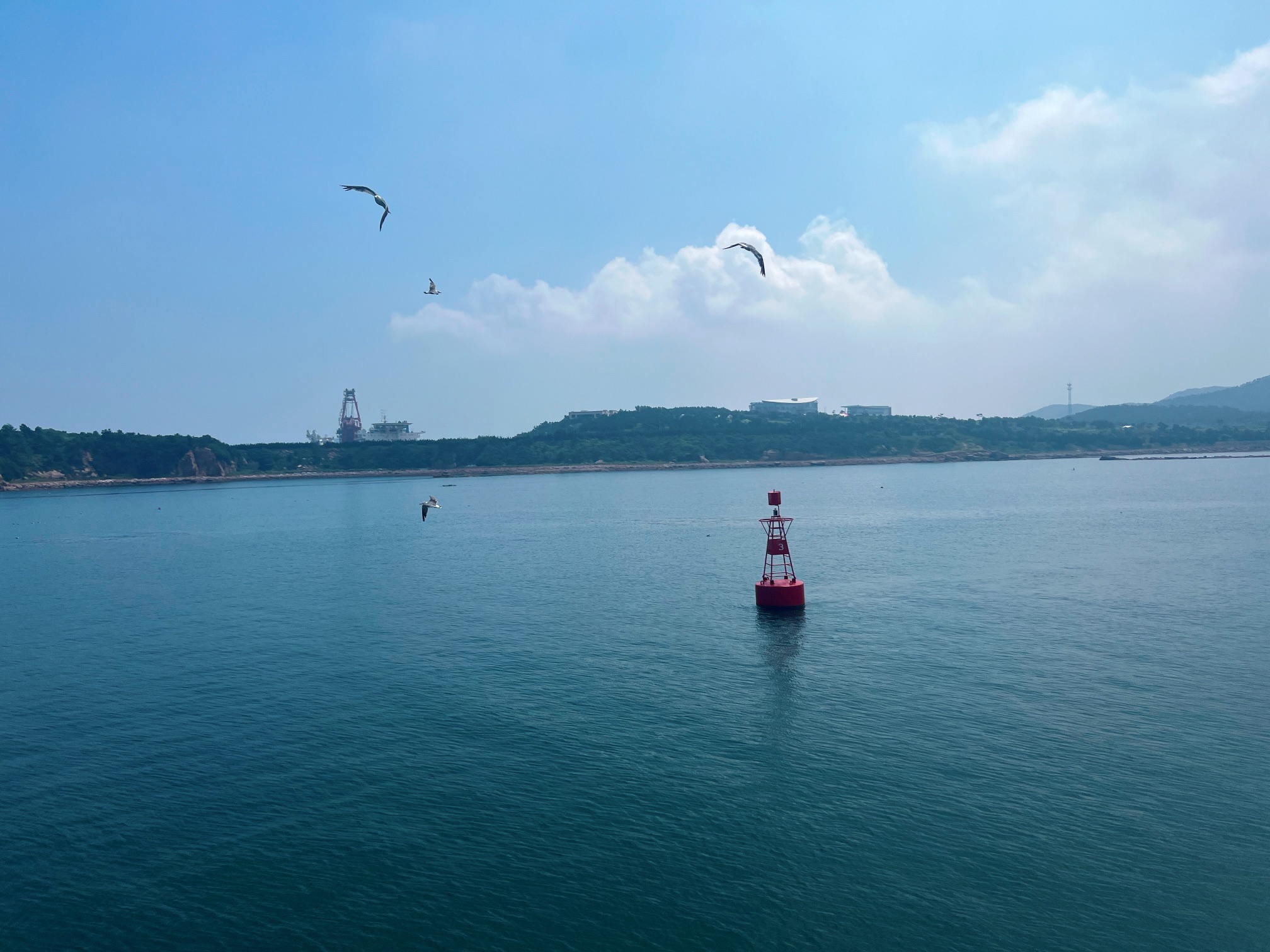 布鲁维斯海滩旅行图片 1