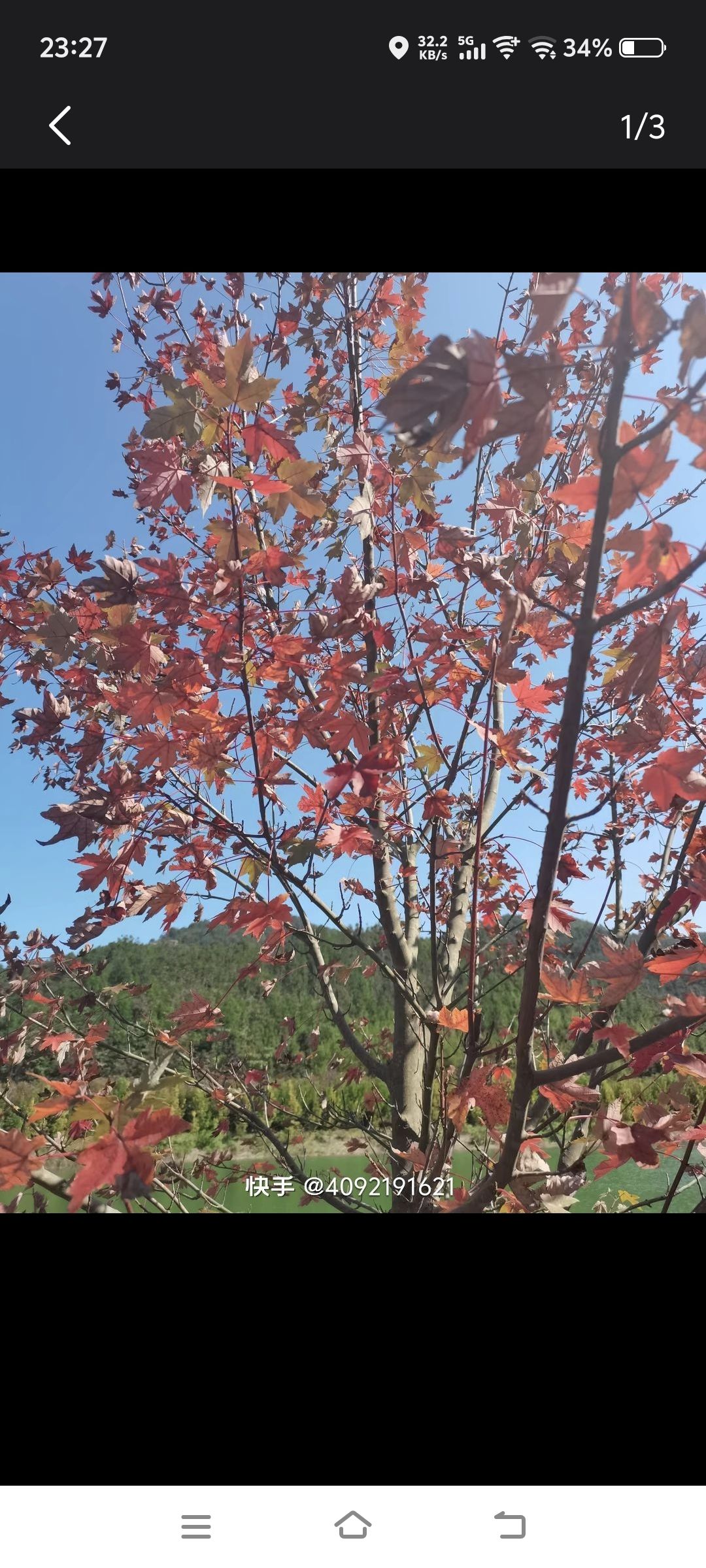 洪山寨风景区旅行图片 3