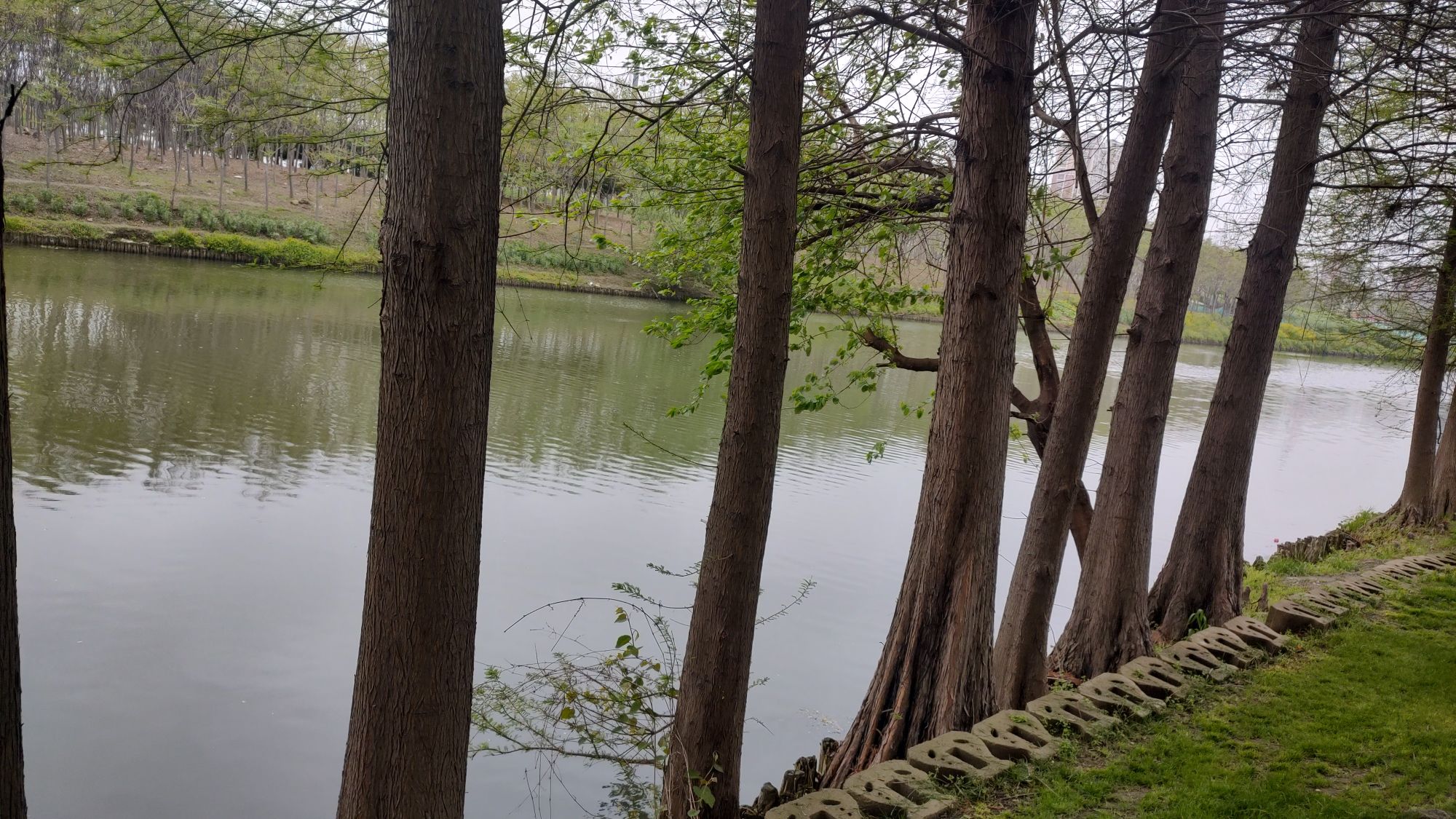 联心滨水公园旅行图片 2