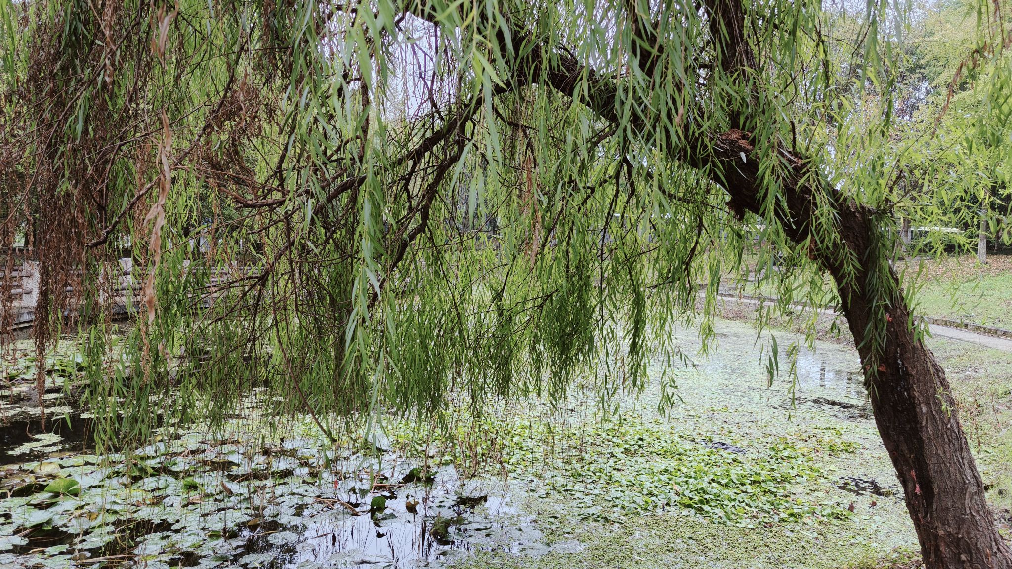 联心滨水公园旅行图片 1