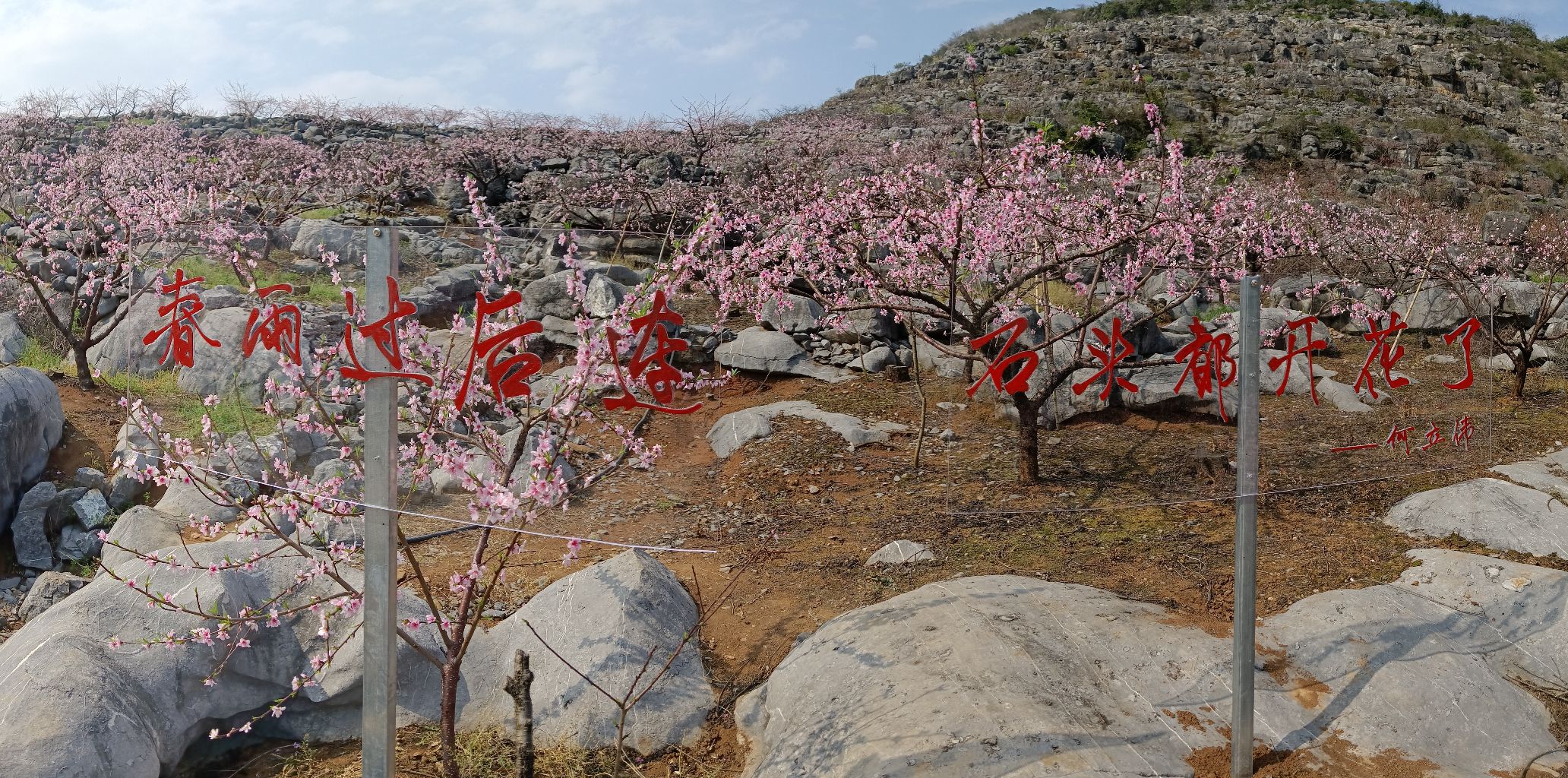 香花井花果山旅行图片 1