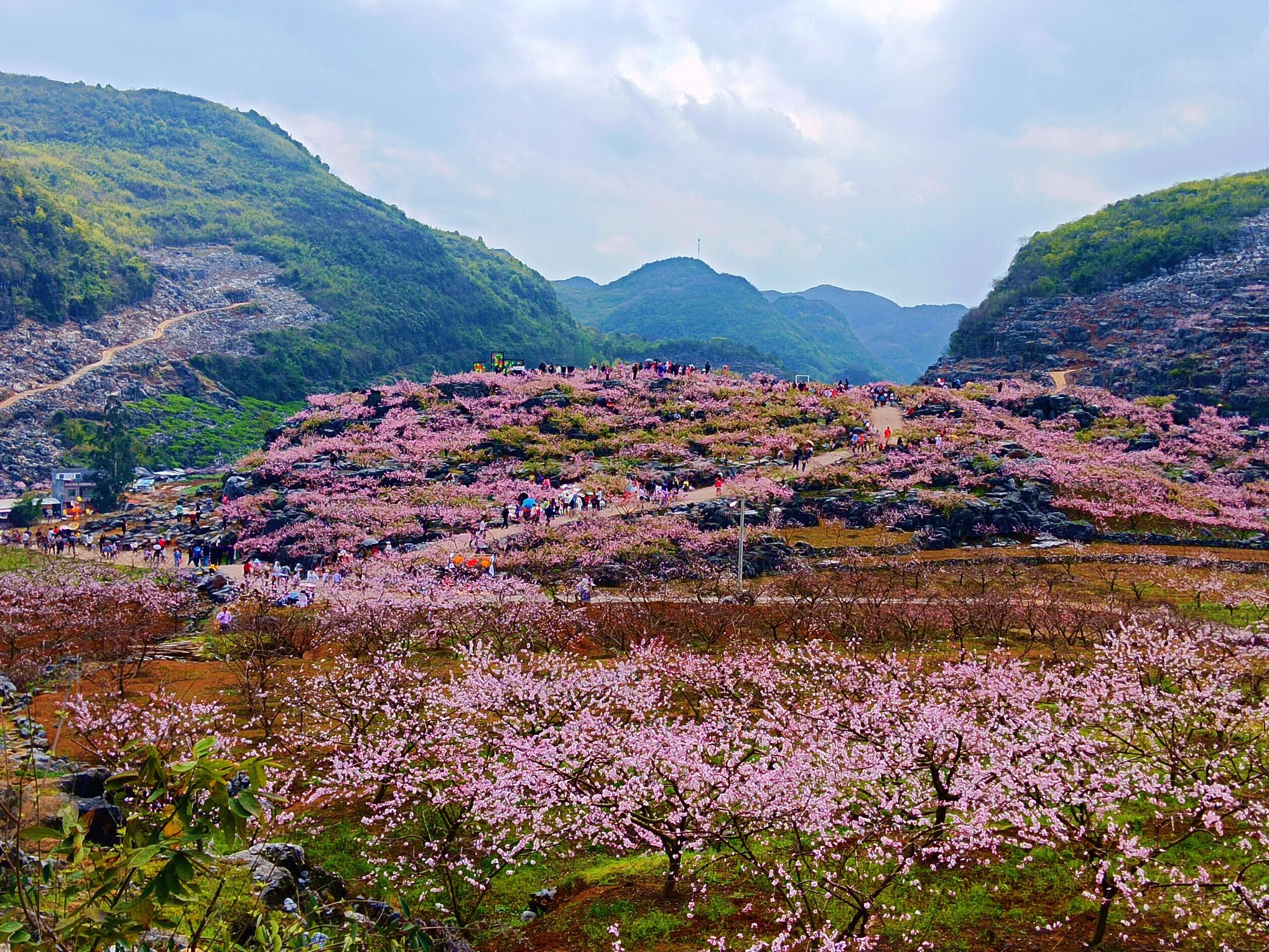 香花井花果山旅行图片 2
