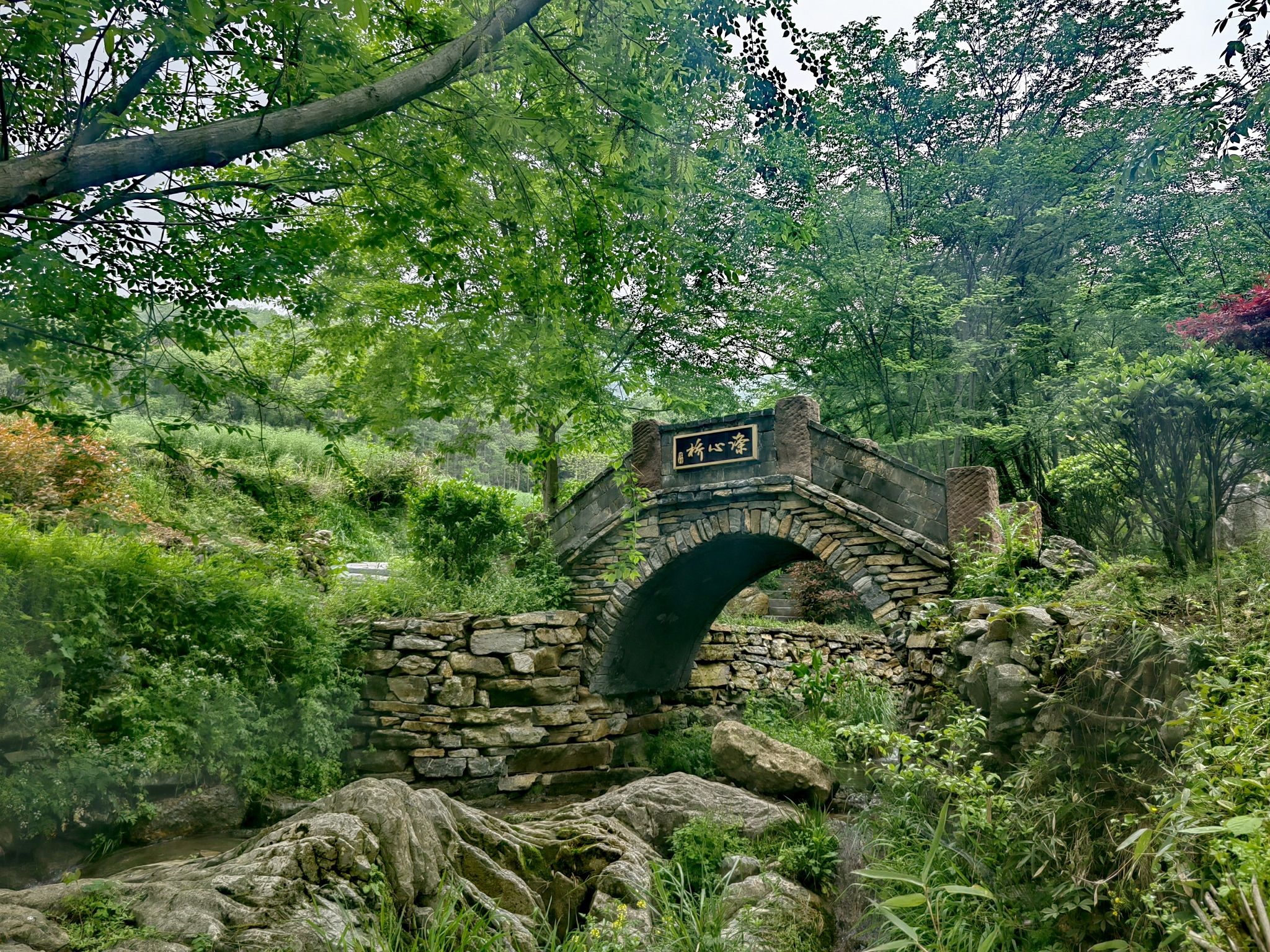 听泉景区旅行图片 1