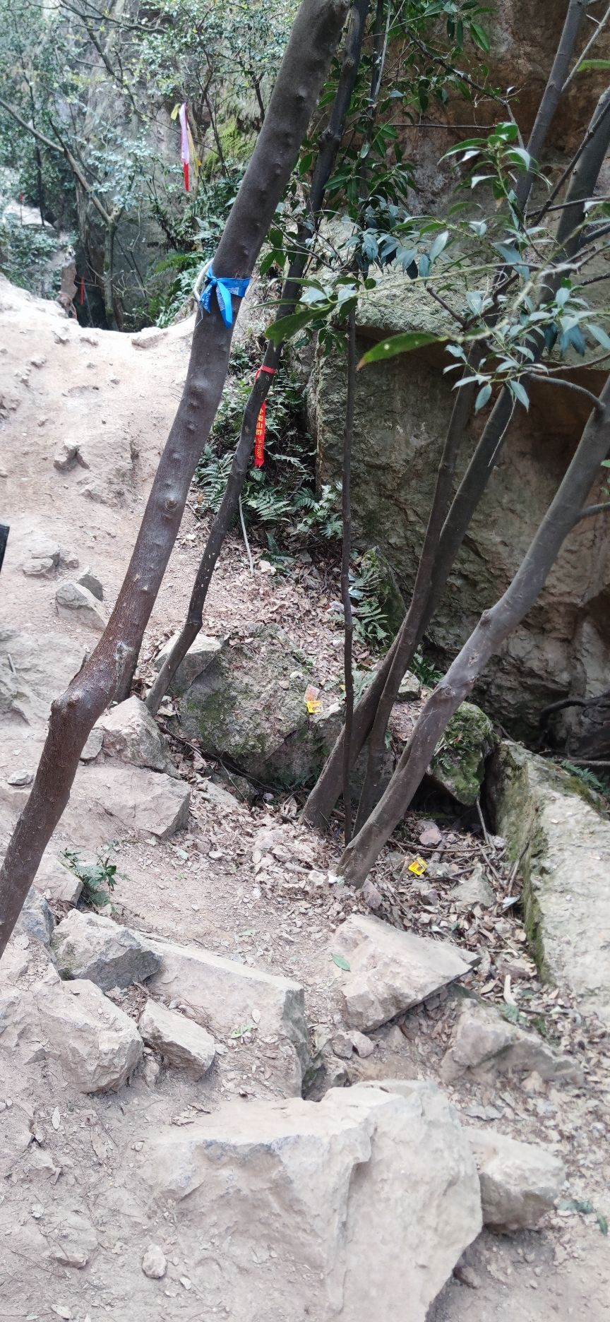 绝情谷旅行图片 1
