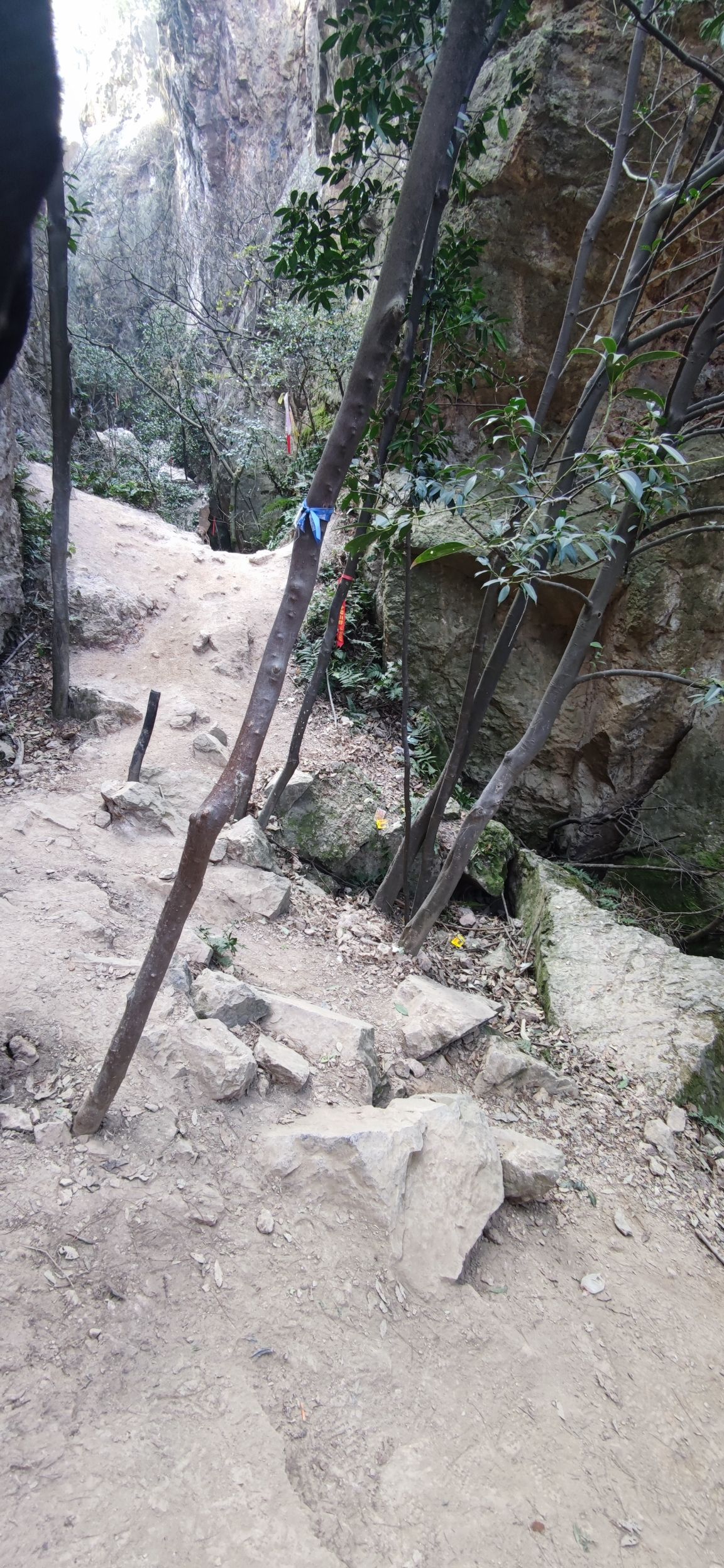 绝情谷旅行图片 2