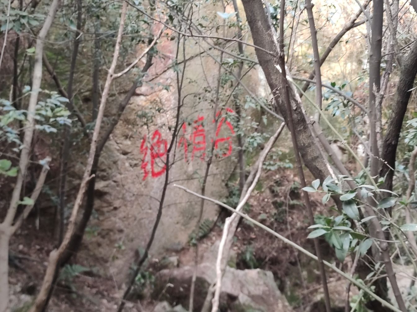 绝情谷旅行图片 3
