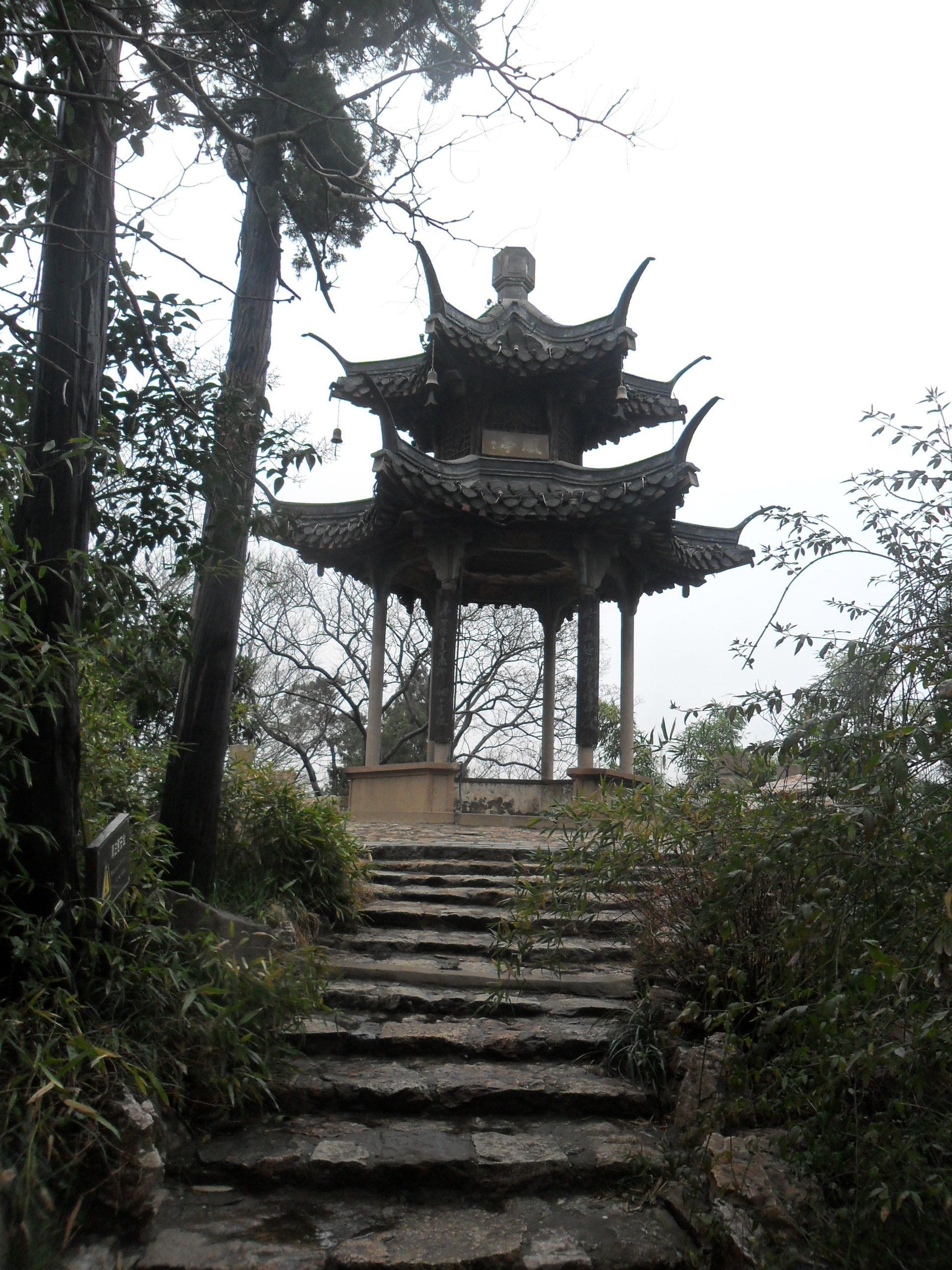 平谷桃花观赏区旅行图片 2