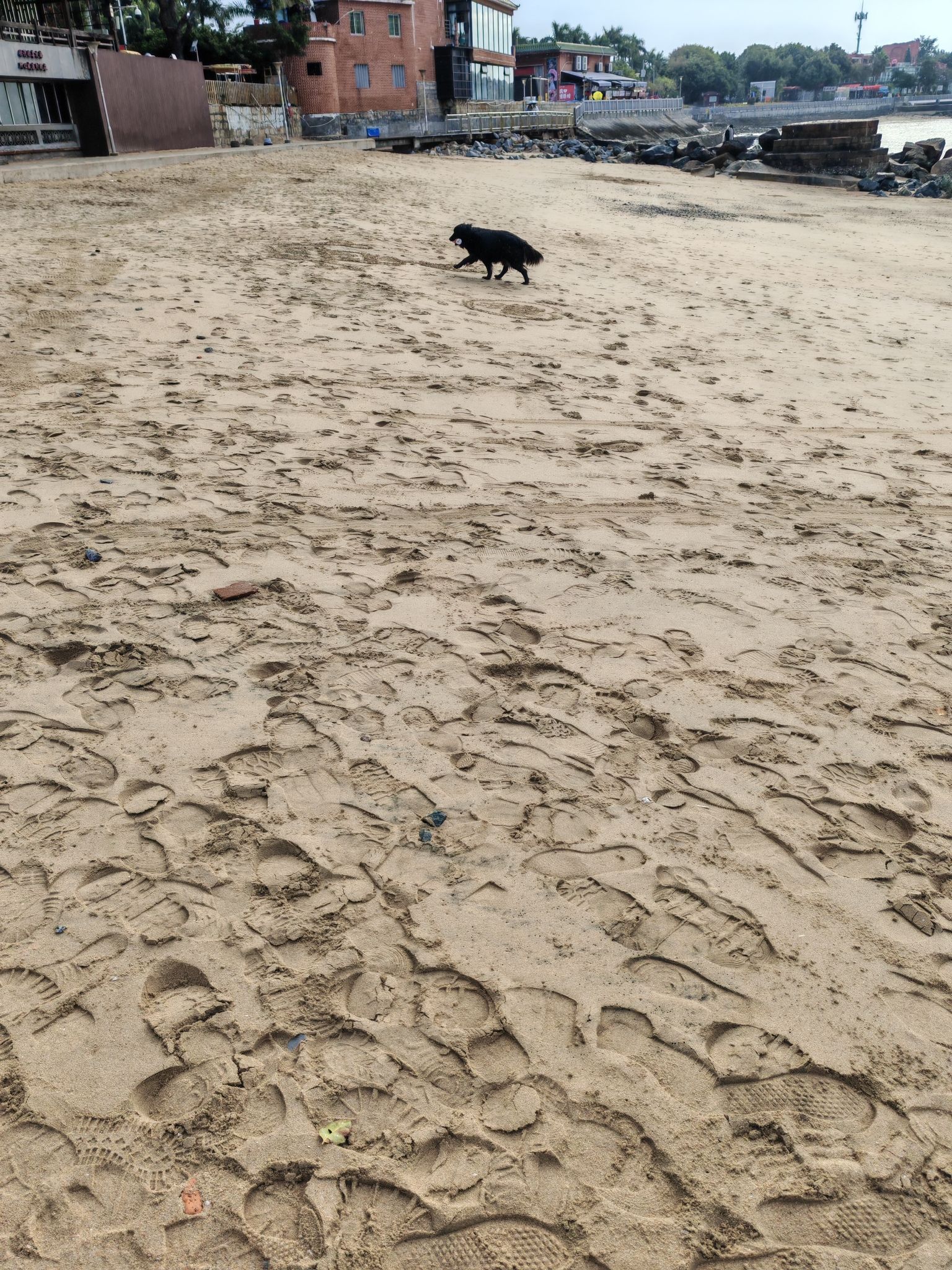 珍珠湾沙滩旅行图片 2