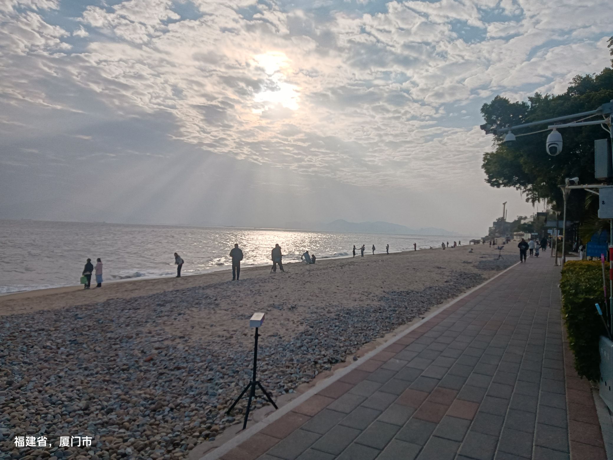 珍珠湾沙滩旅行图片 2