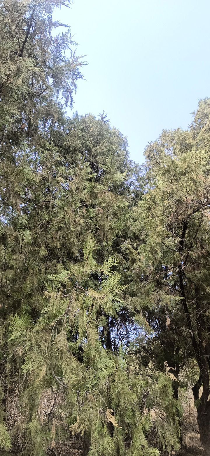 平谷区桃花海主景区旅行图片 3