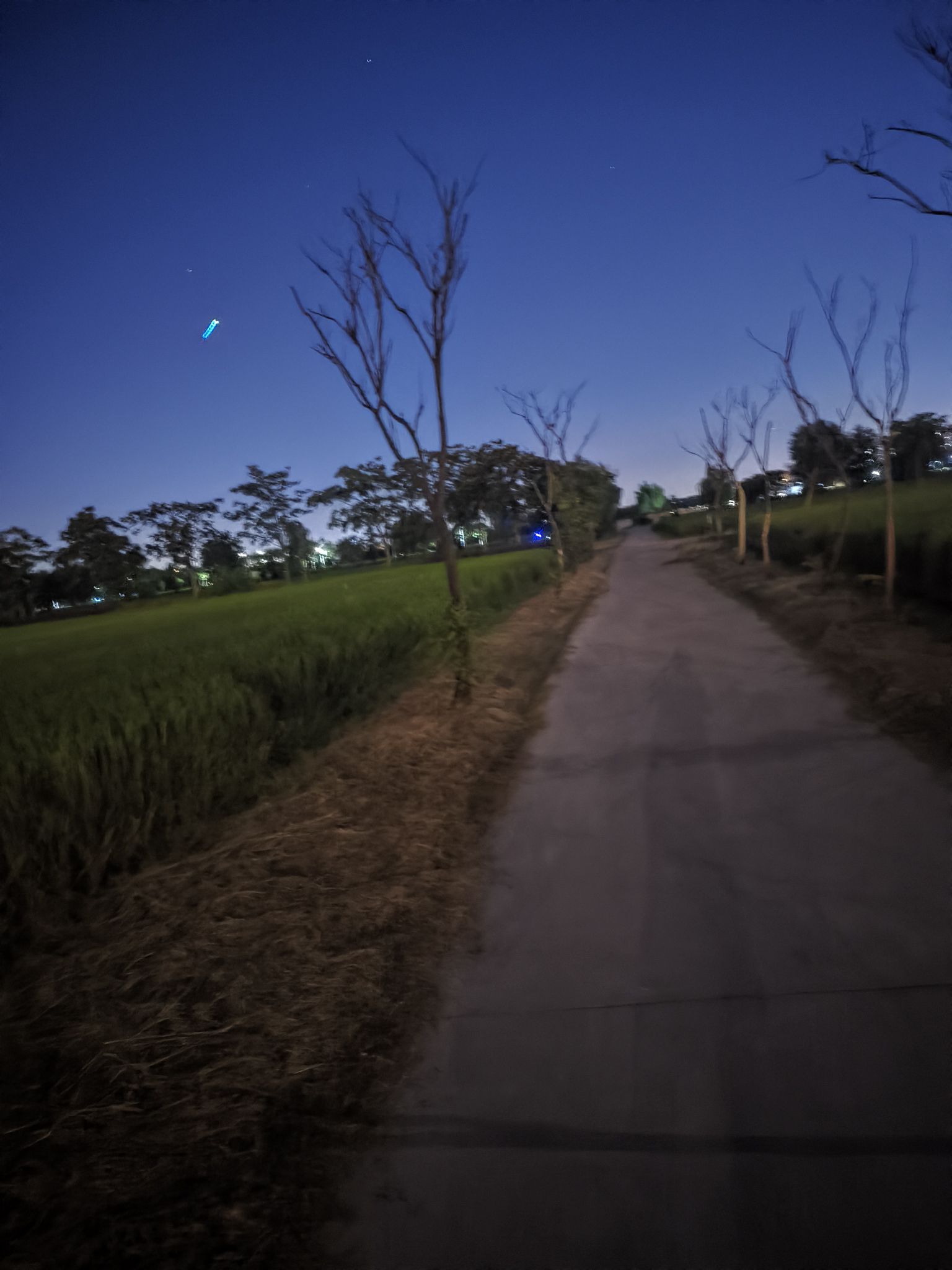 远景花田旅行图片 1