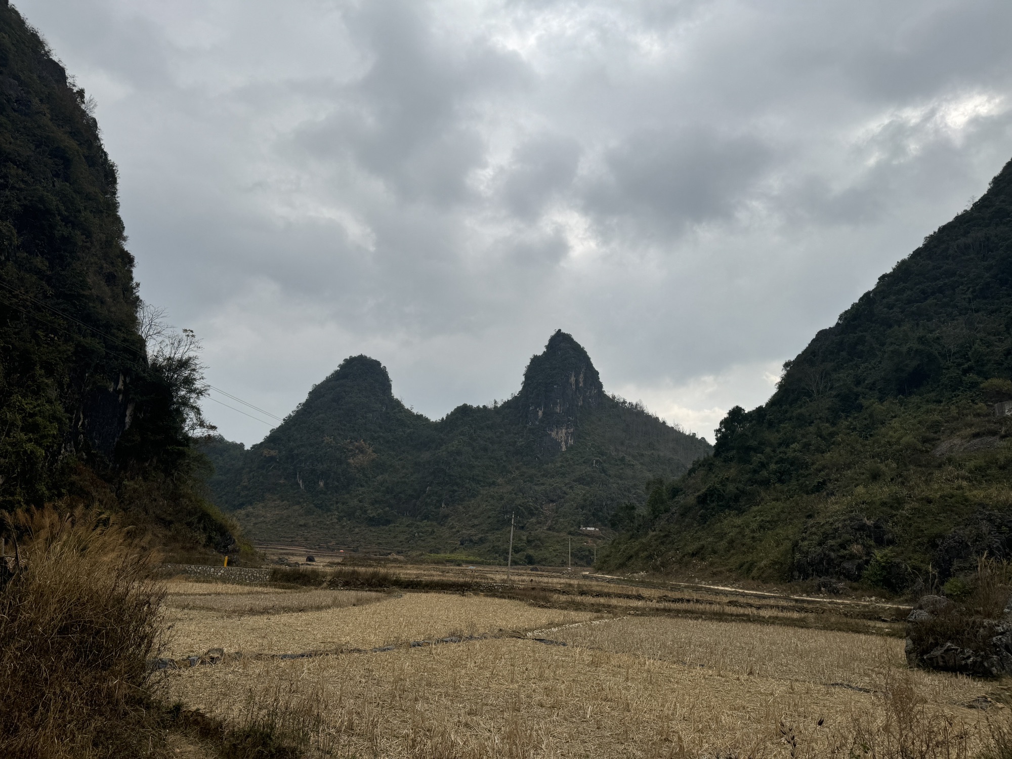 青龙湖旅行图片 1