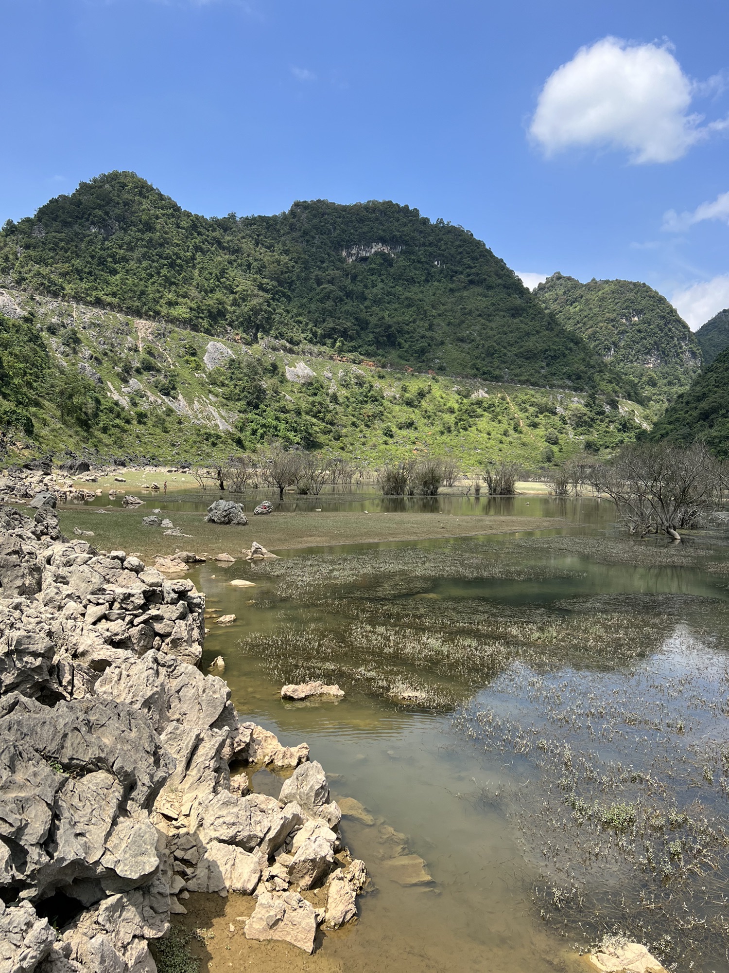 青龙湖旅行图片 2