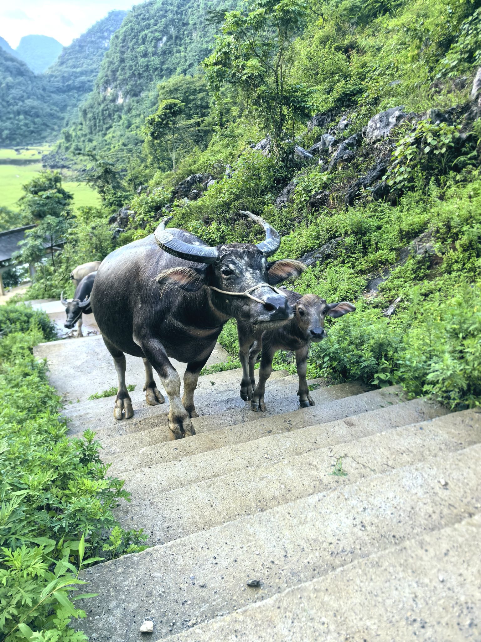 青龙湖旅行图片 1