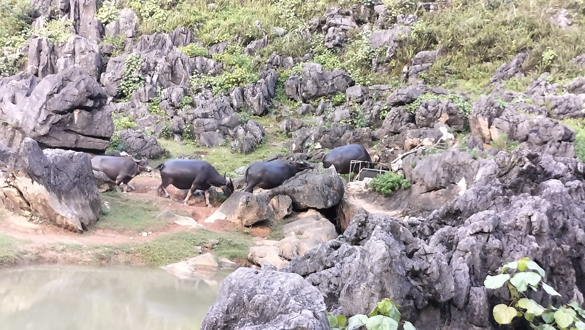 青龙湖旅行图片 3