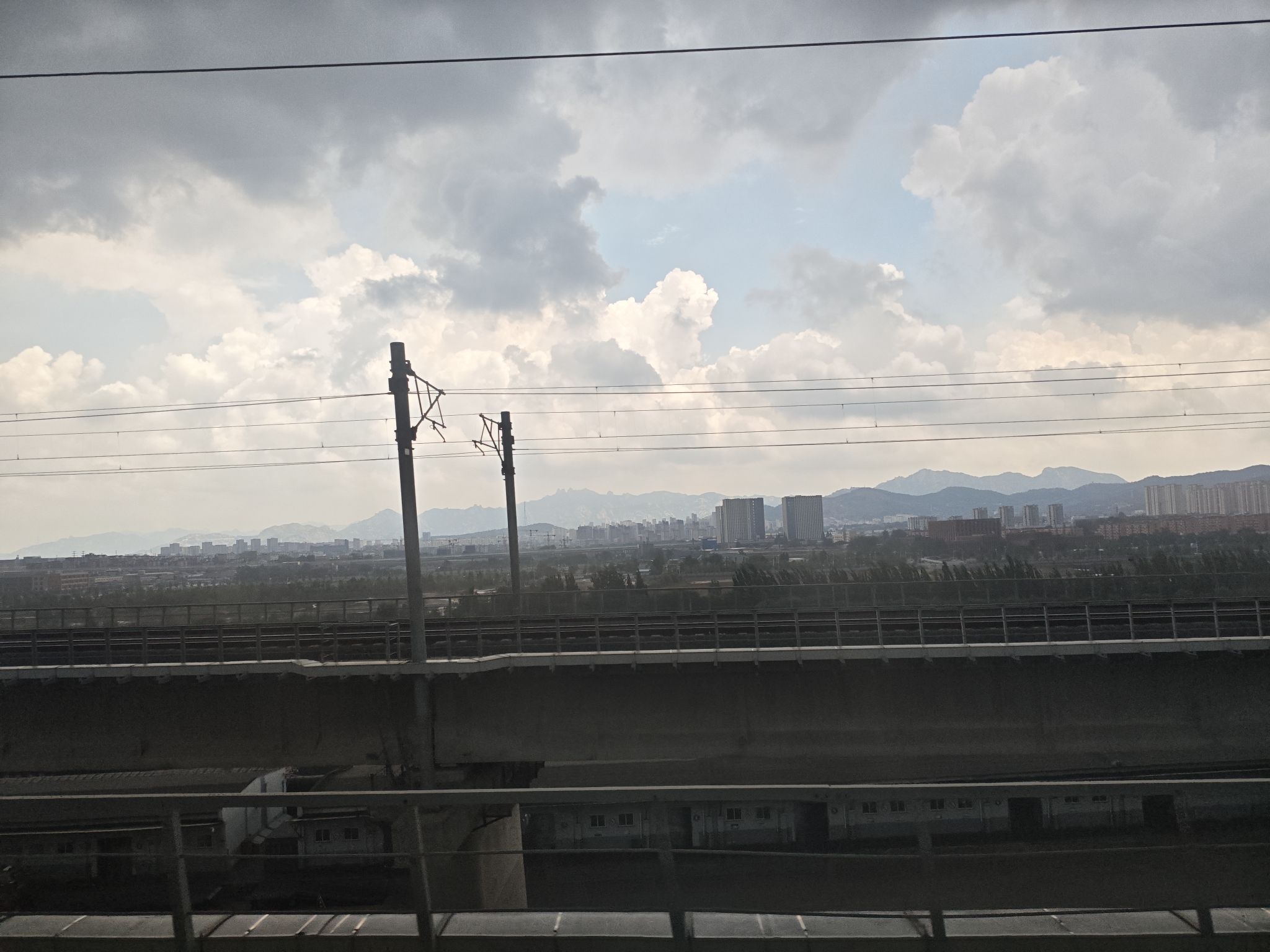 孤独的树旅行图片 3