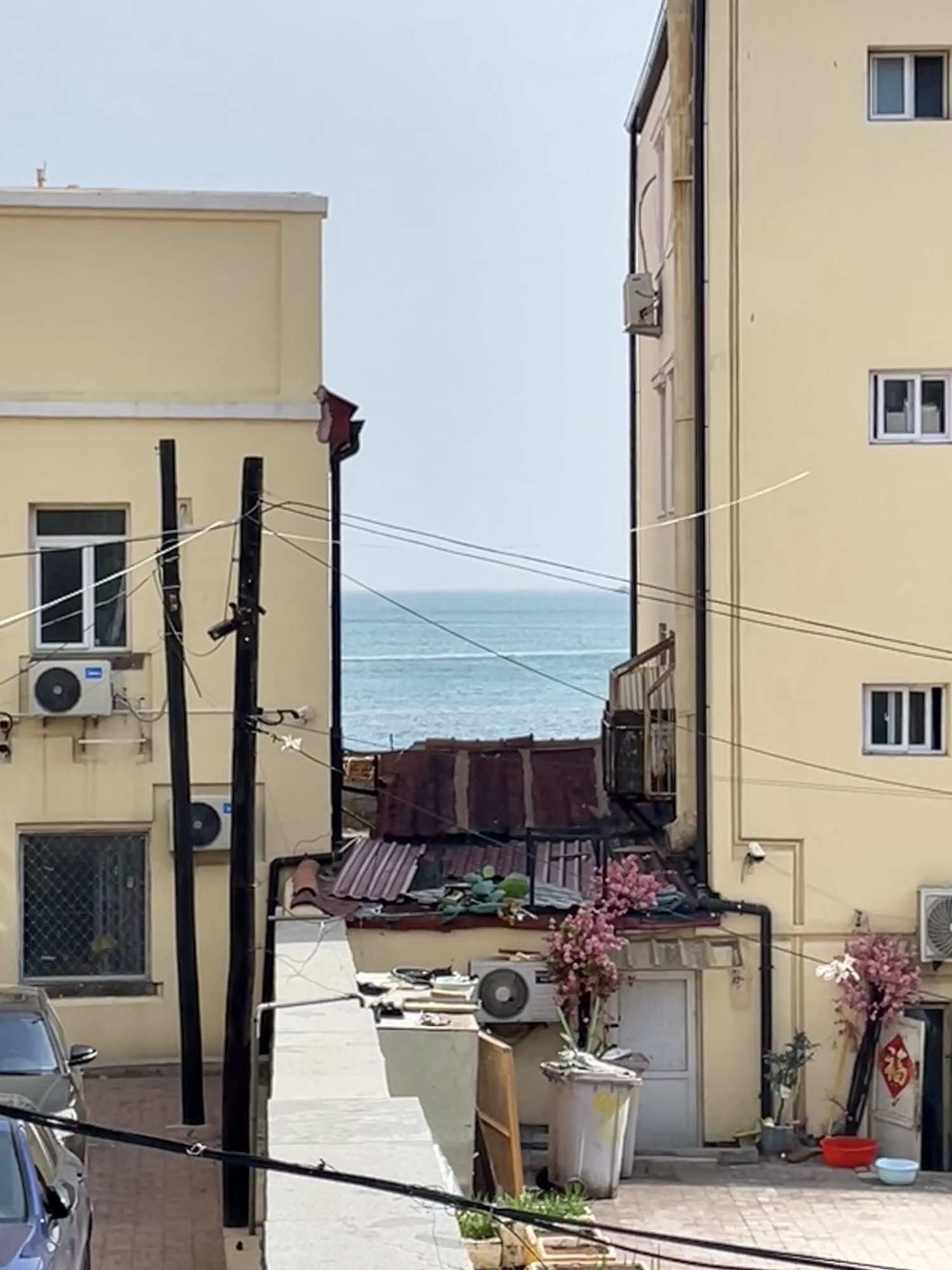 孤独的树旅行图片 3