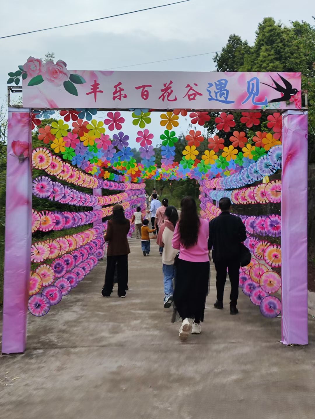 丰乐绣球花海旅行图片 1