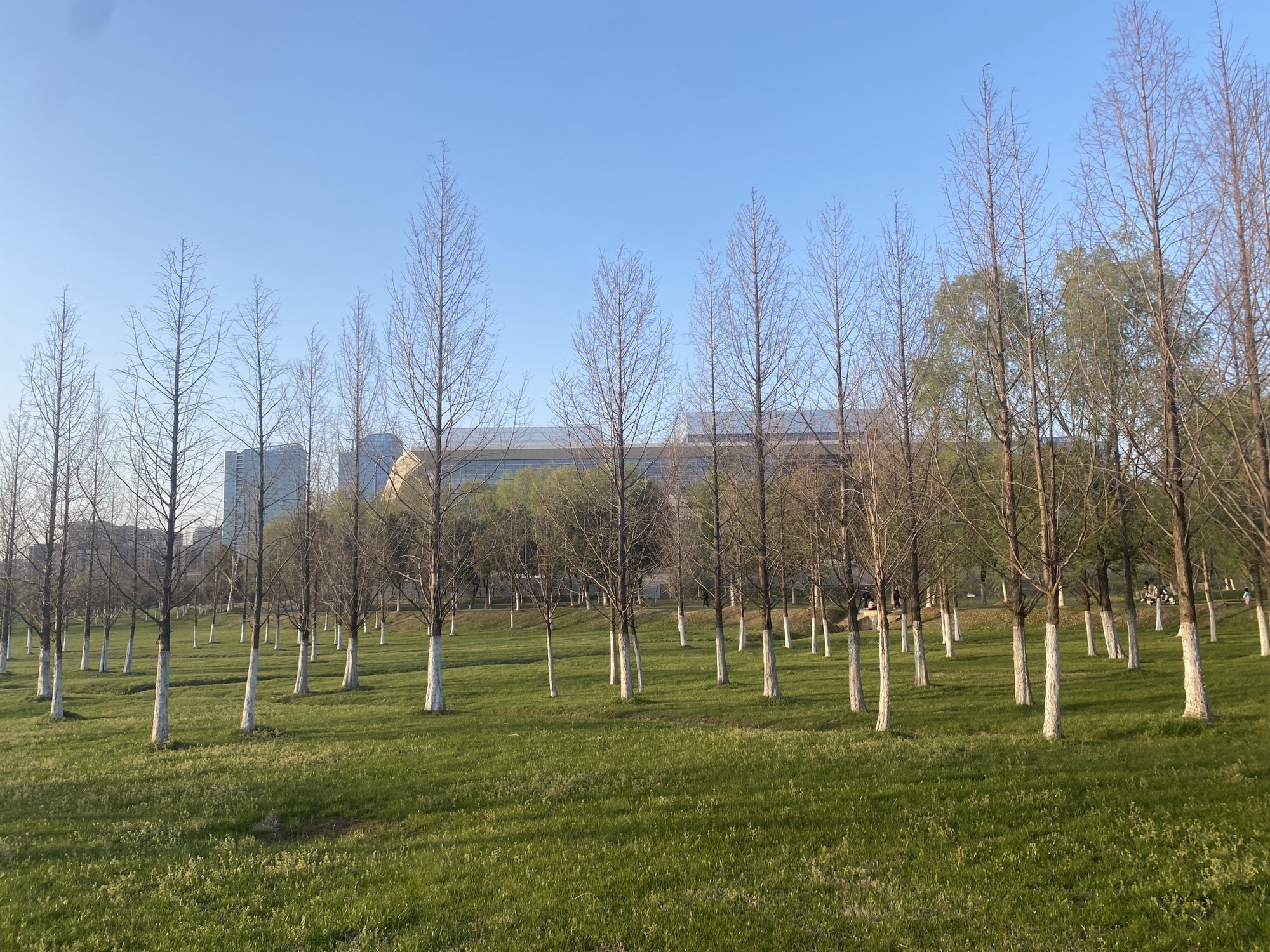 蜀西湖公园旅行图片 2