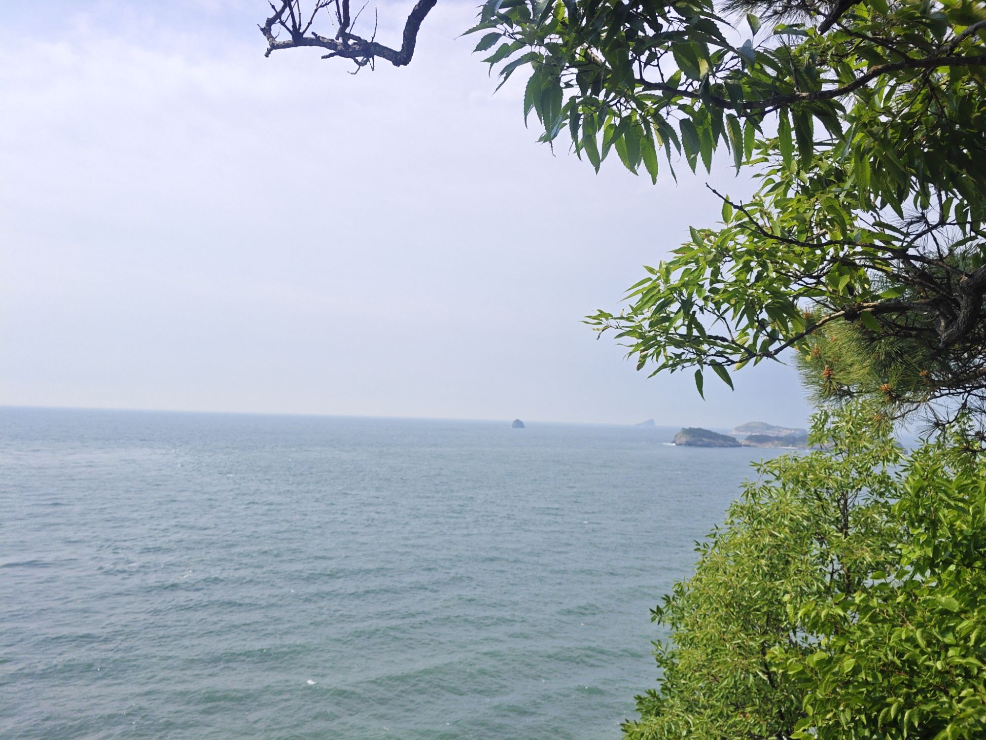 亲海栈道旅行图片 2