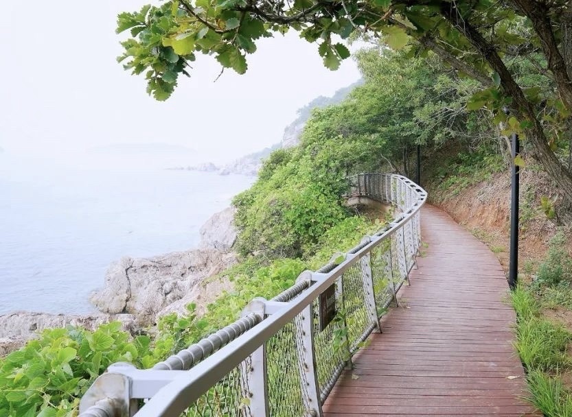 亲海栈道旅行图片 2