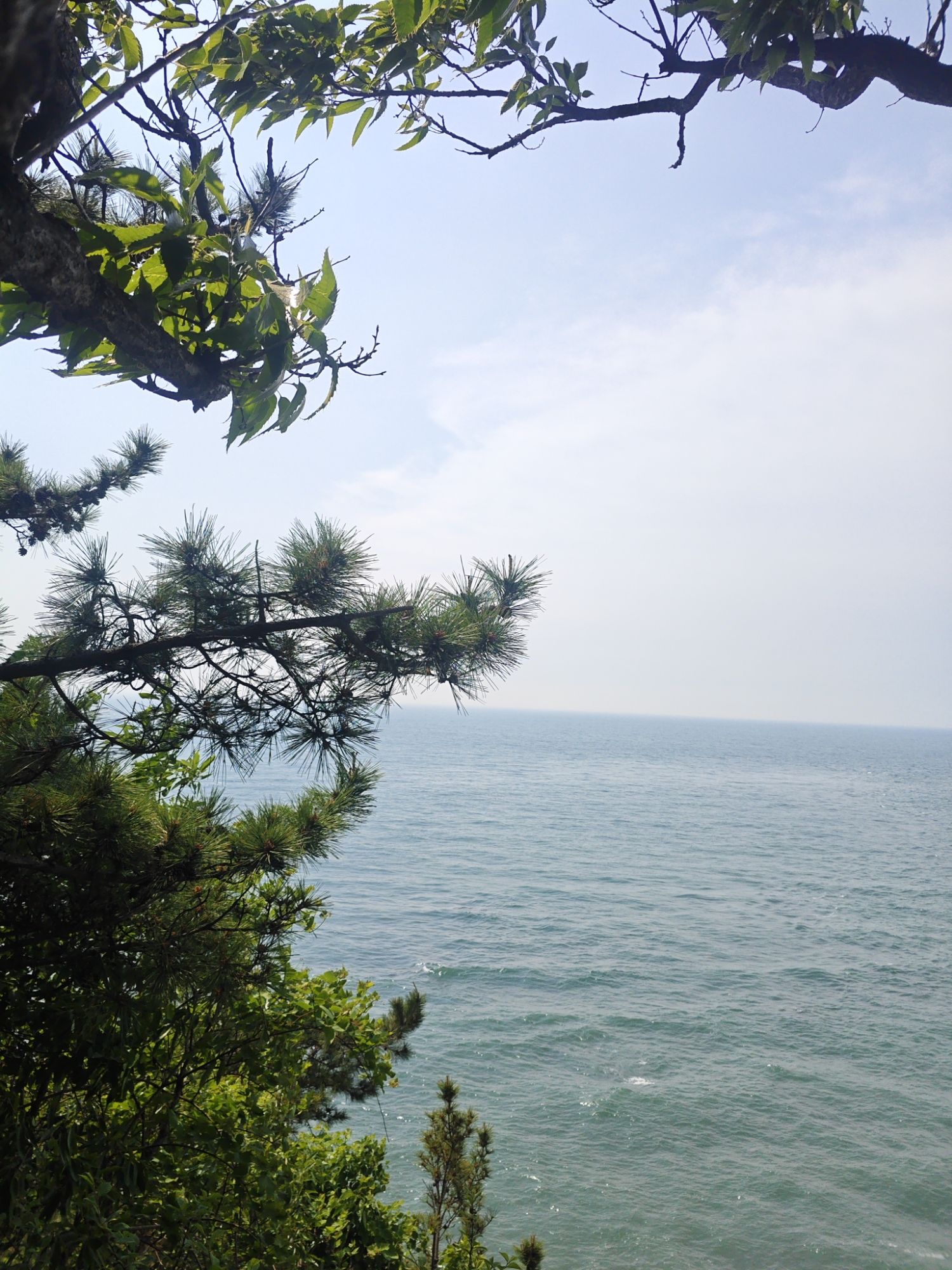 亲海栈道旅行图片 3