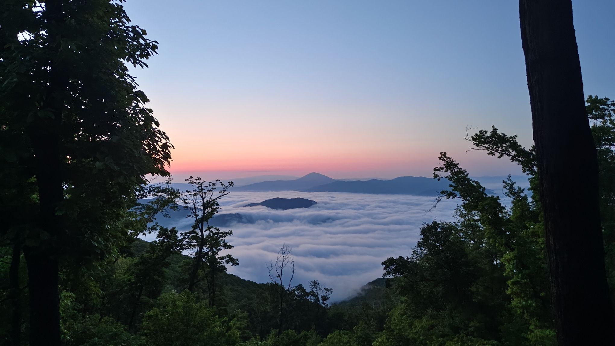 朱雀云顶旅行图片 1