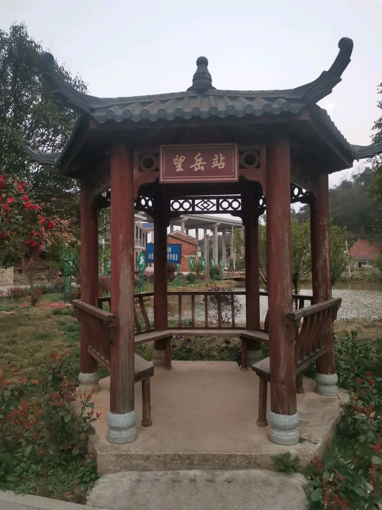 望岳站旅行图片 1