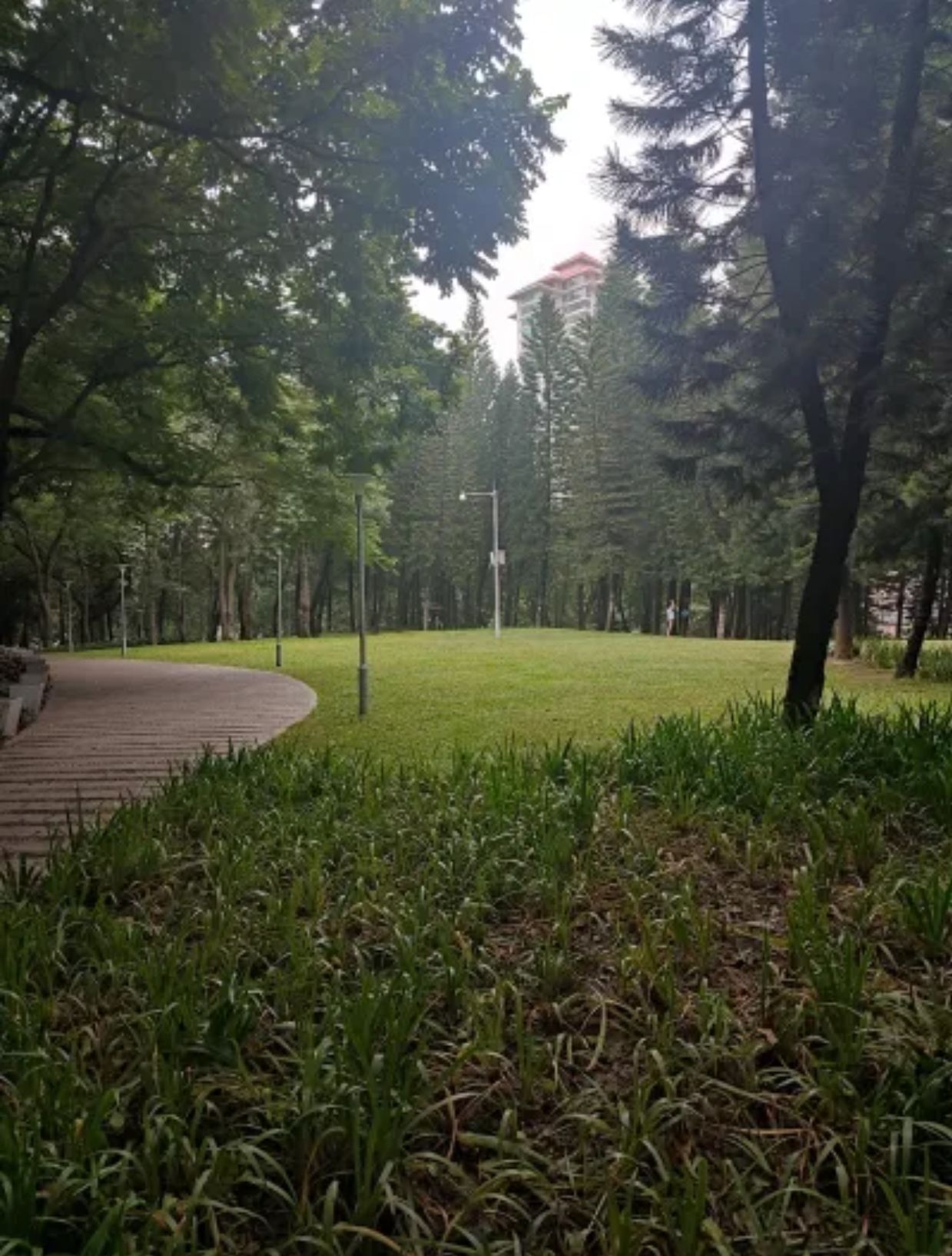 天和游园旅行图片 3