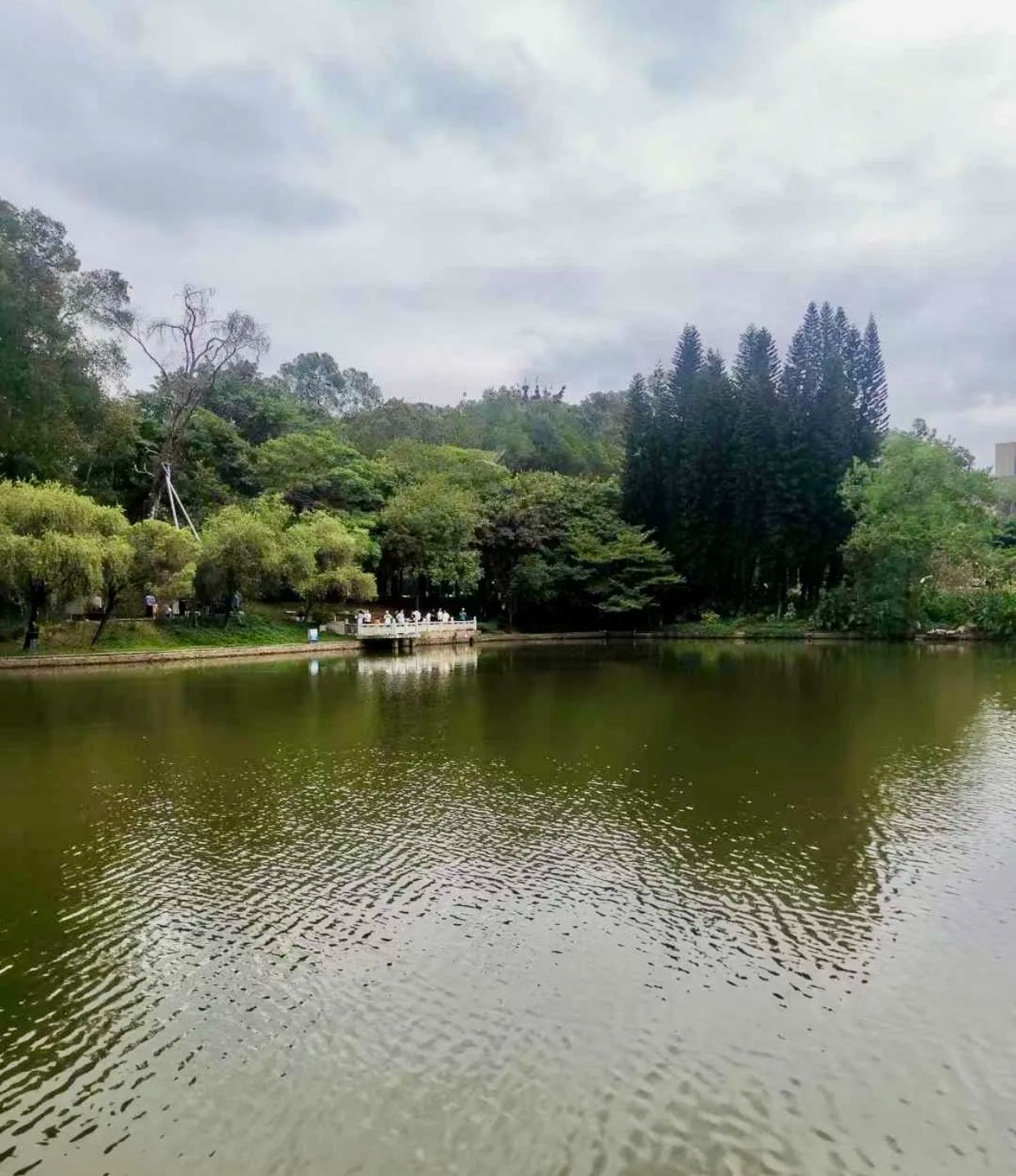 天和游园旅行图片 2