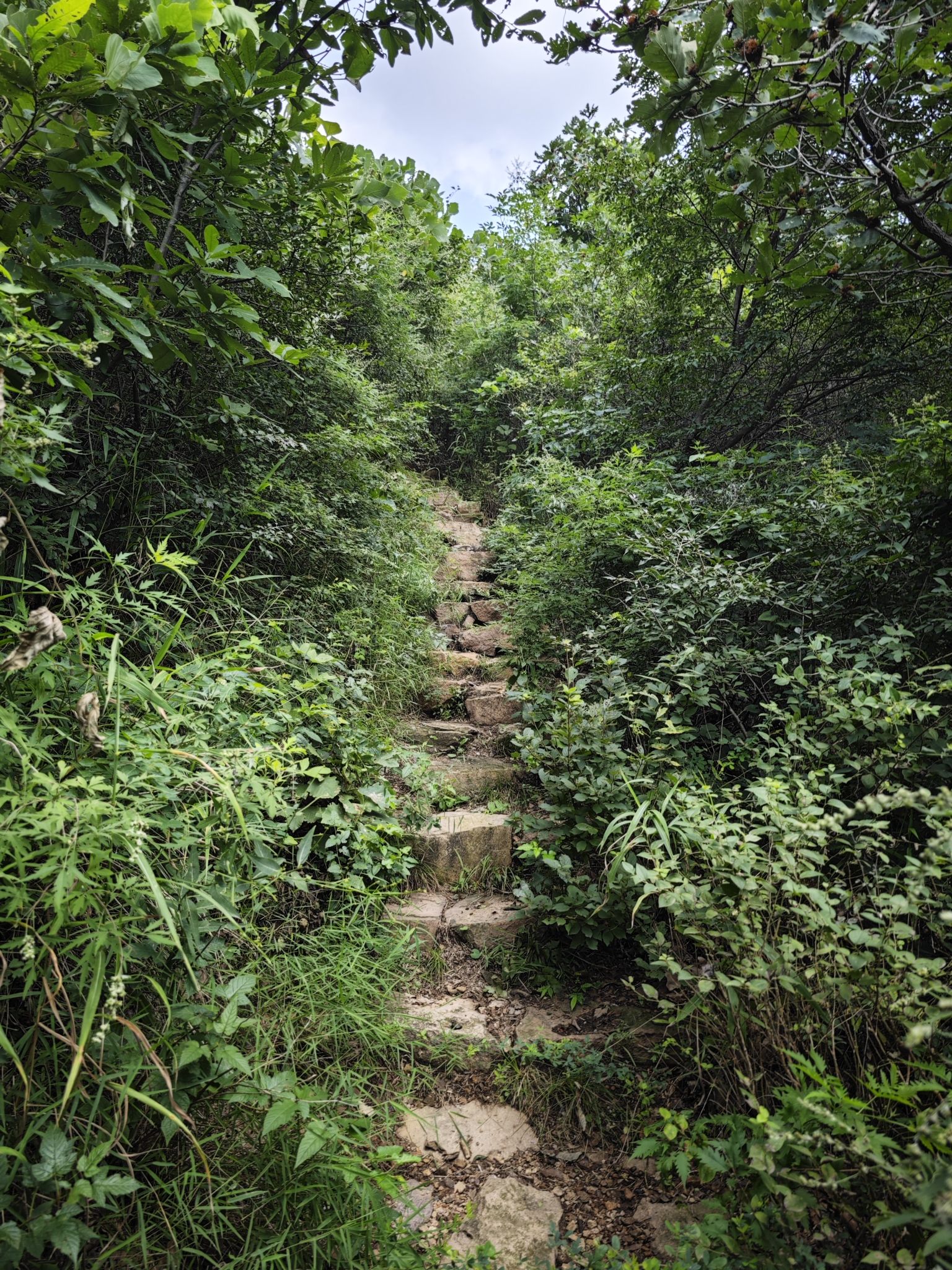 小毛沟长城旅行图片 2