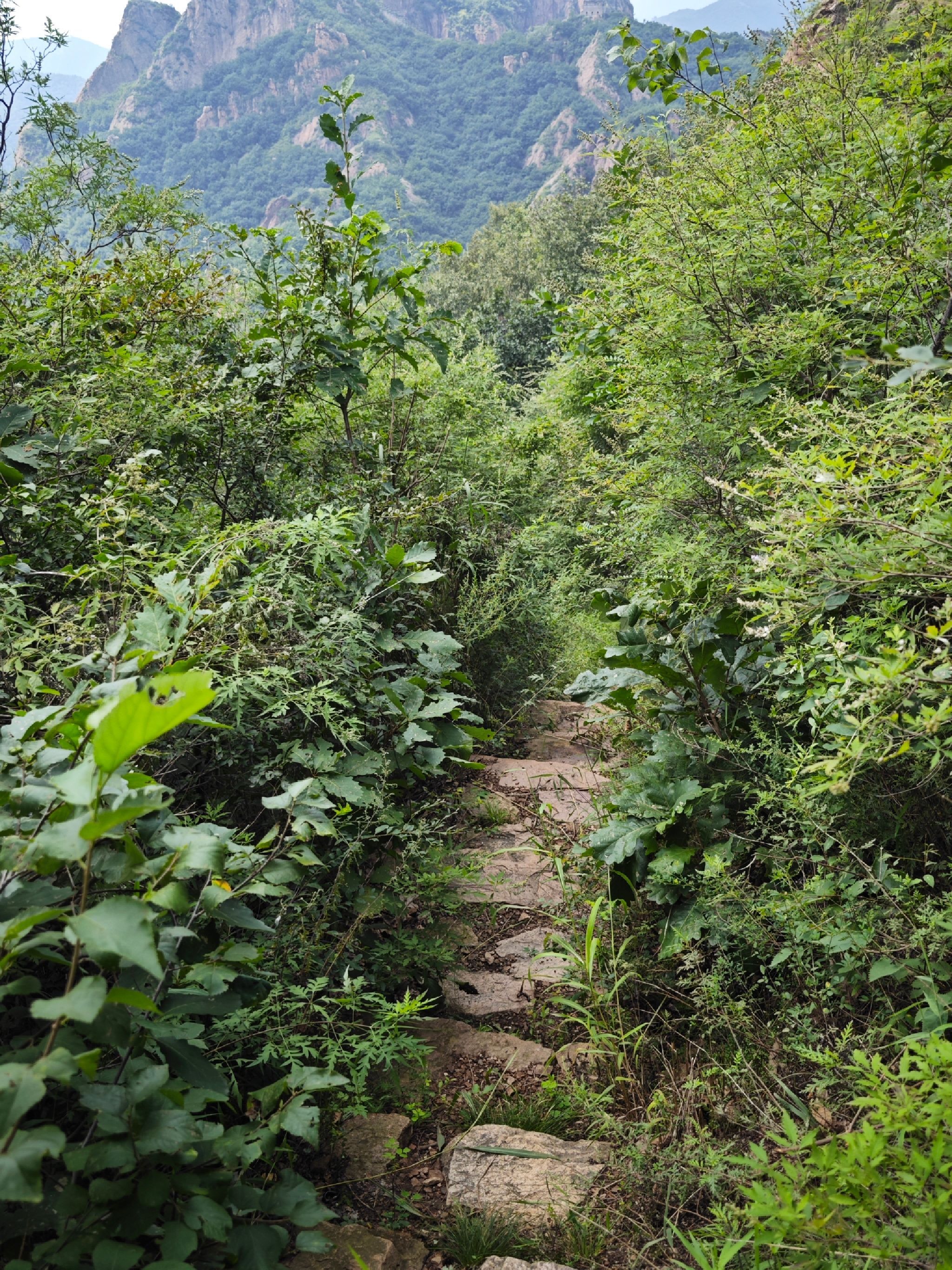 小毛沟长城旅行图片 1