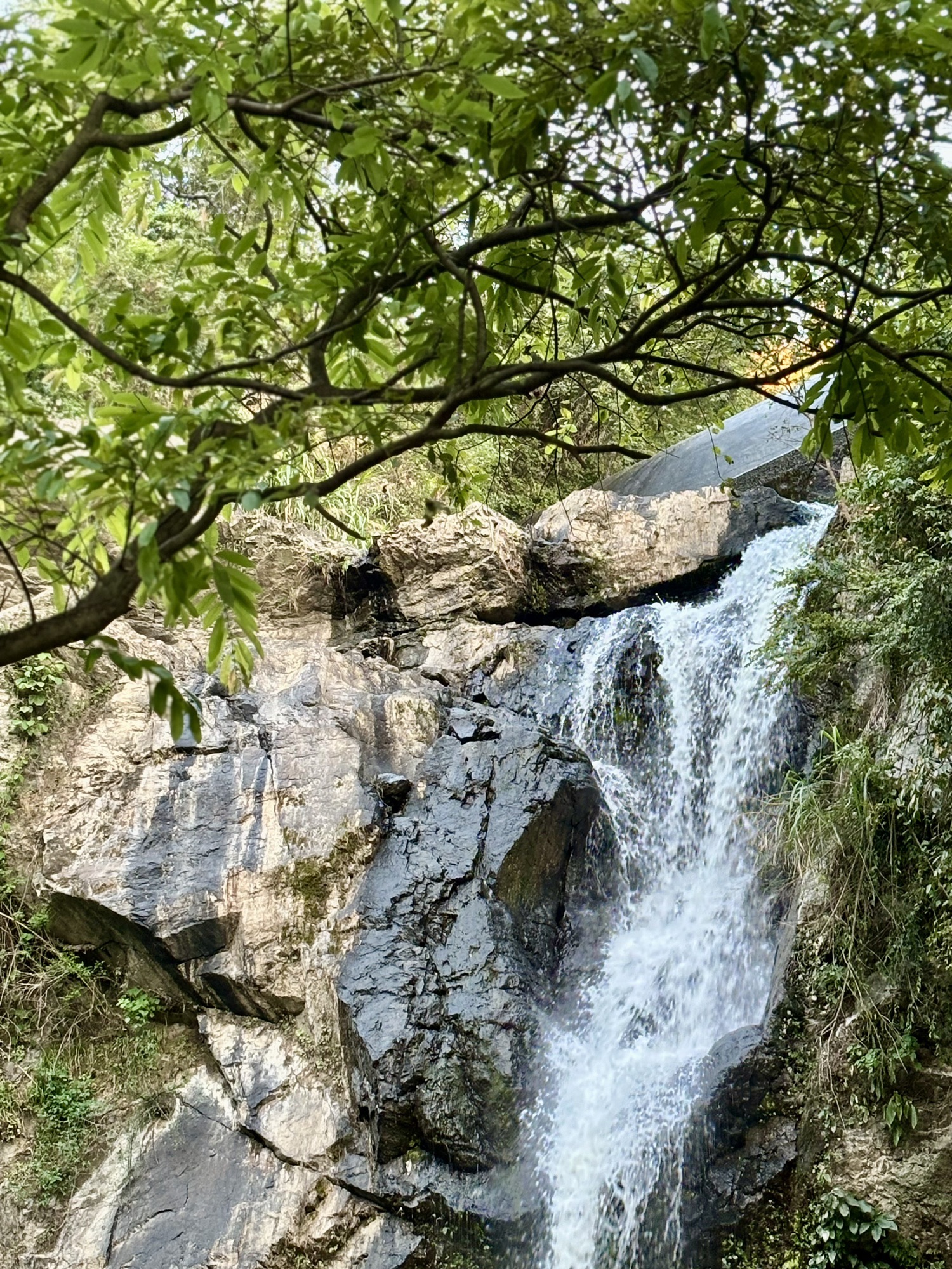 两丝瀑布旅行图片 3