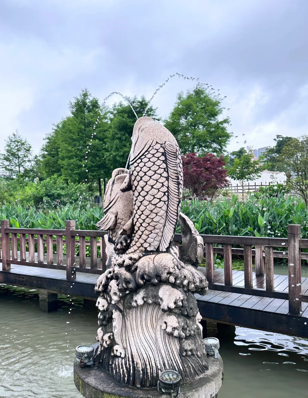 九龙湖湿地公园旅行图片 2