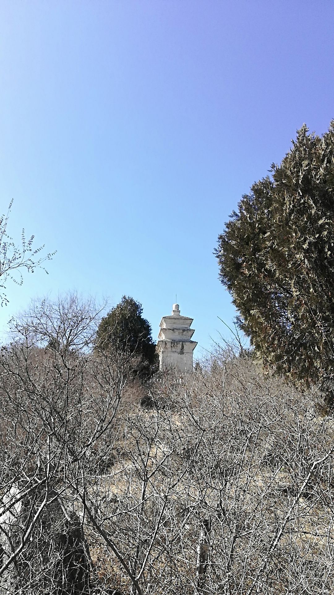 血山塔旅行图片 1