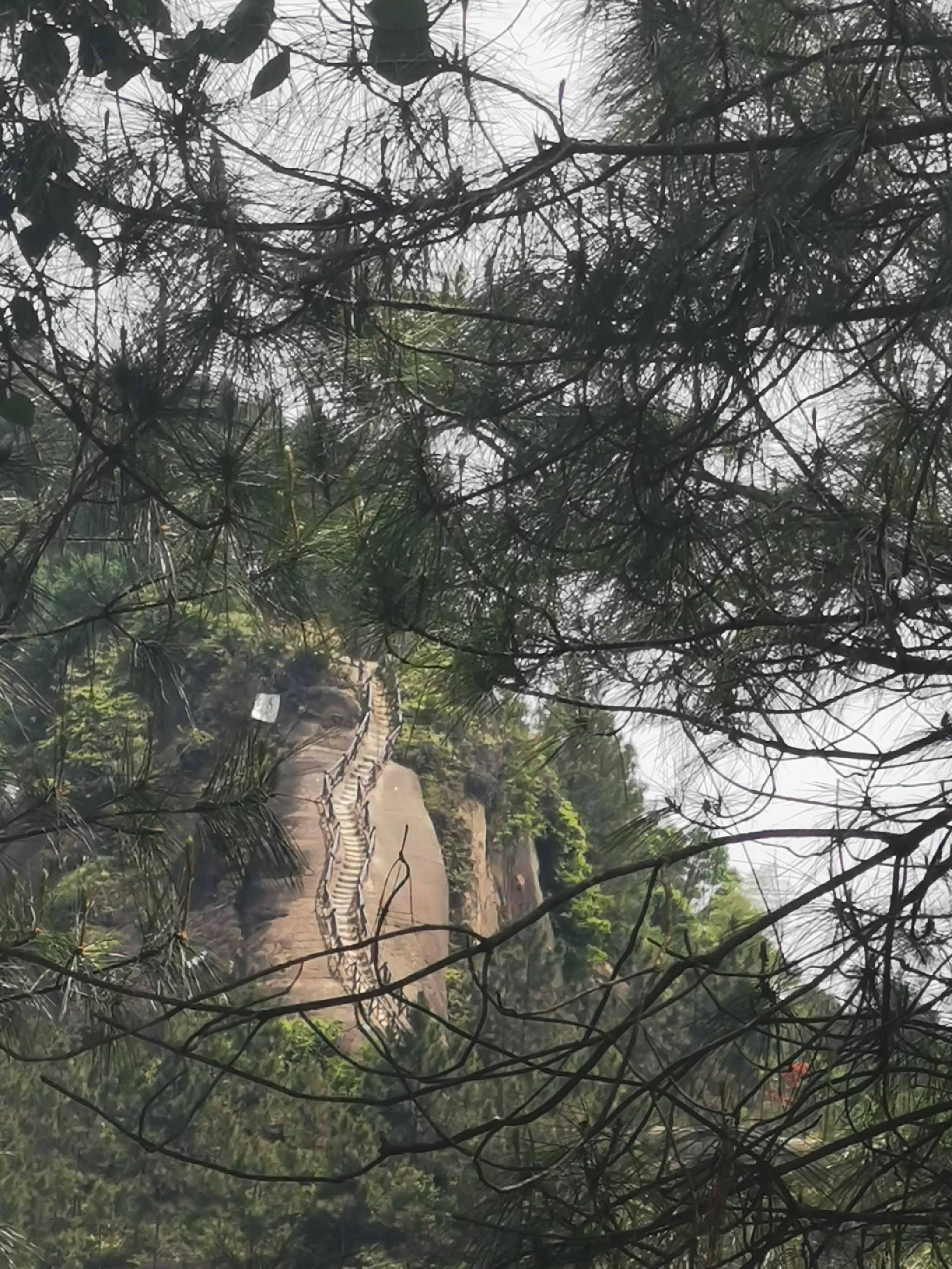 五十三梯旅行图片 3