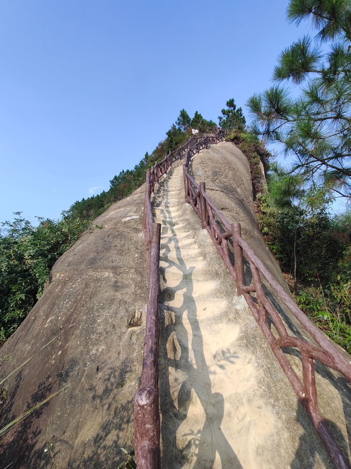 五十三梯旅行图片 2