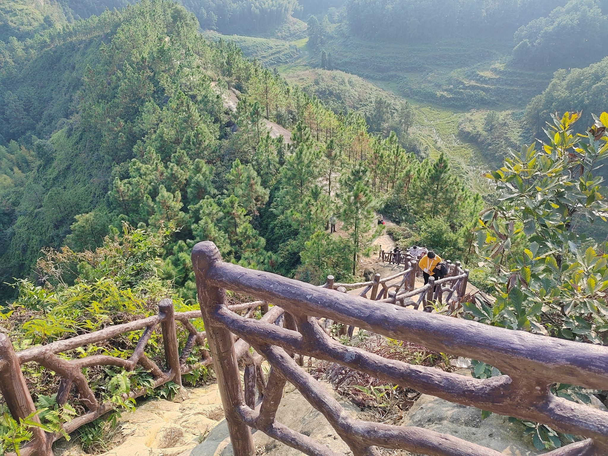 五十三梯旅行图片 3
