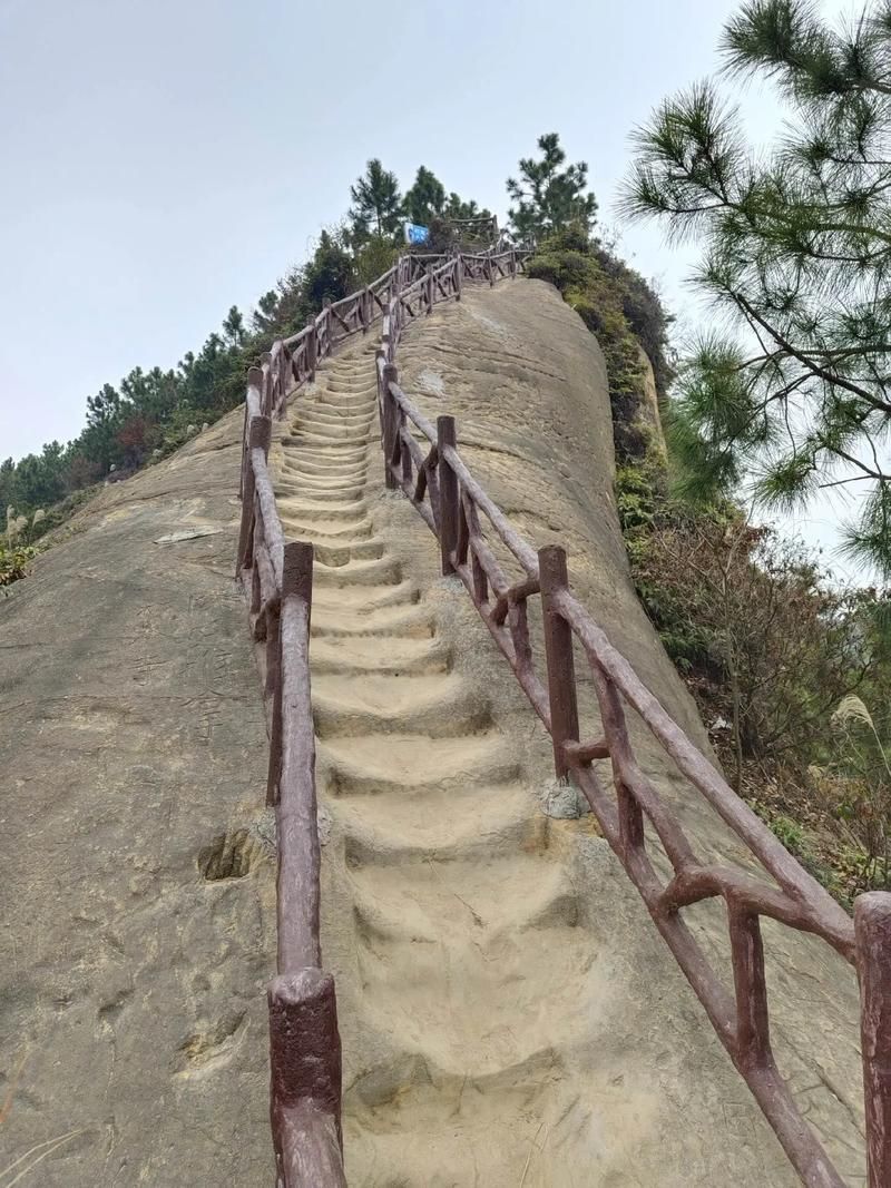 五十三梯旅行图片 3
