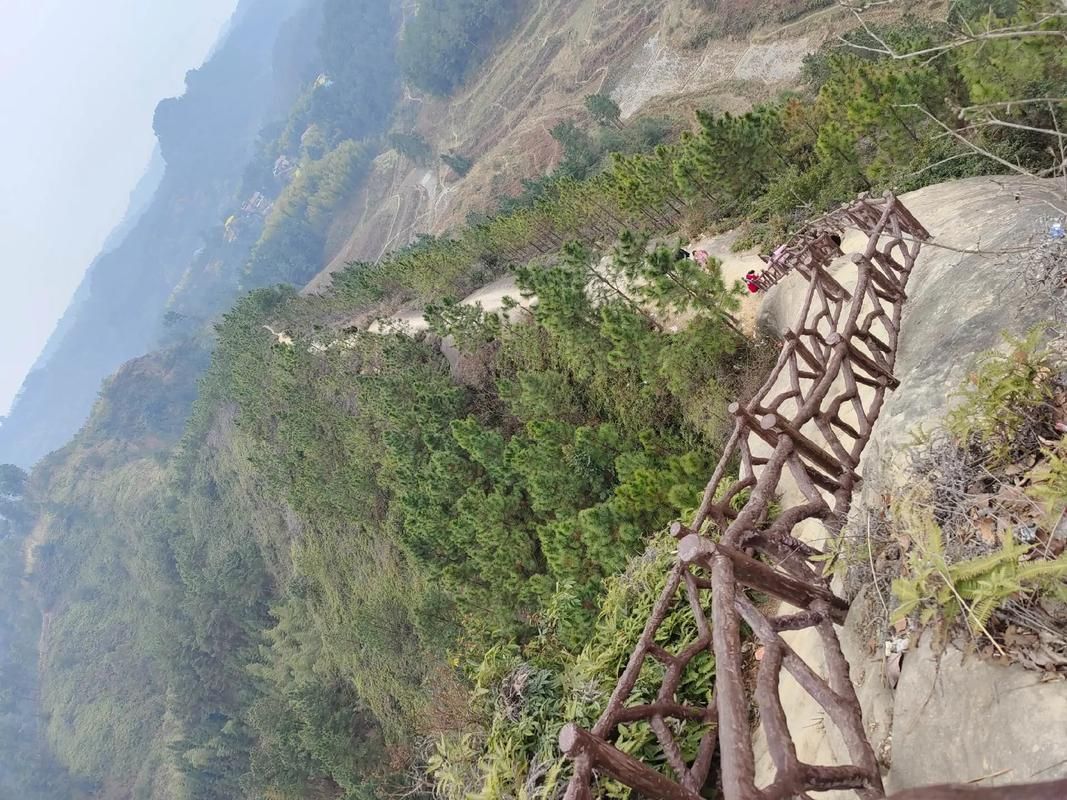 五十三梯旅行图片 2