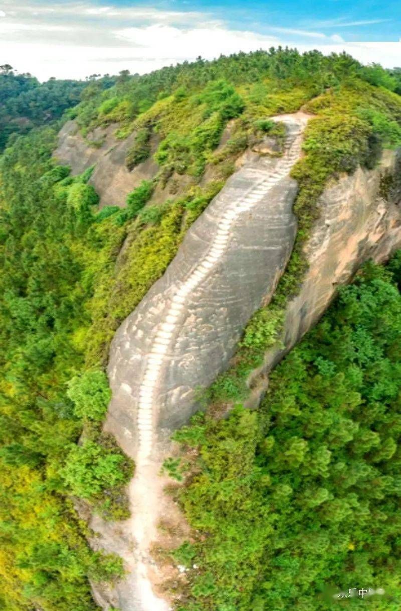 五十三梯旅行图片 1