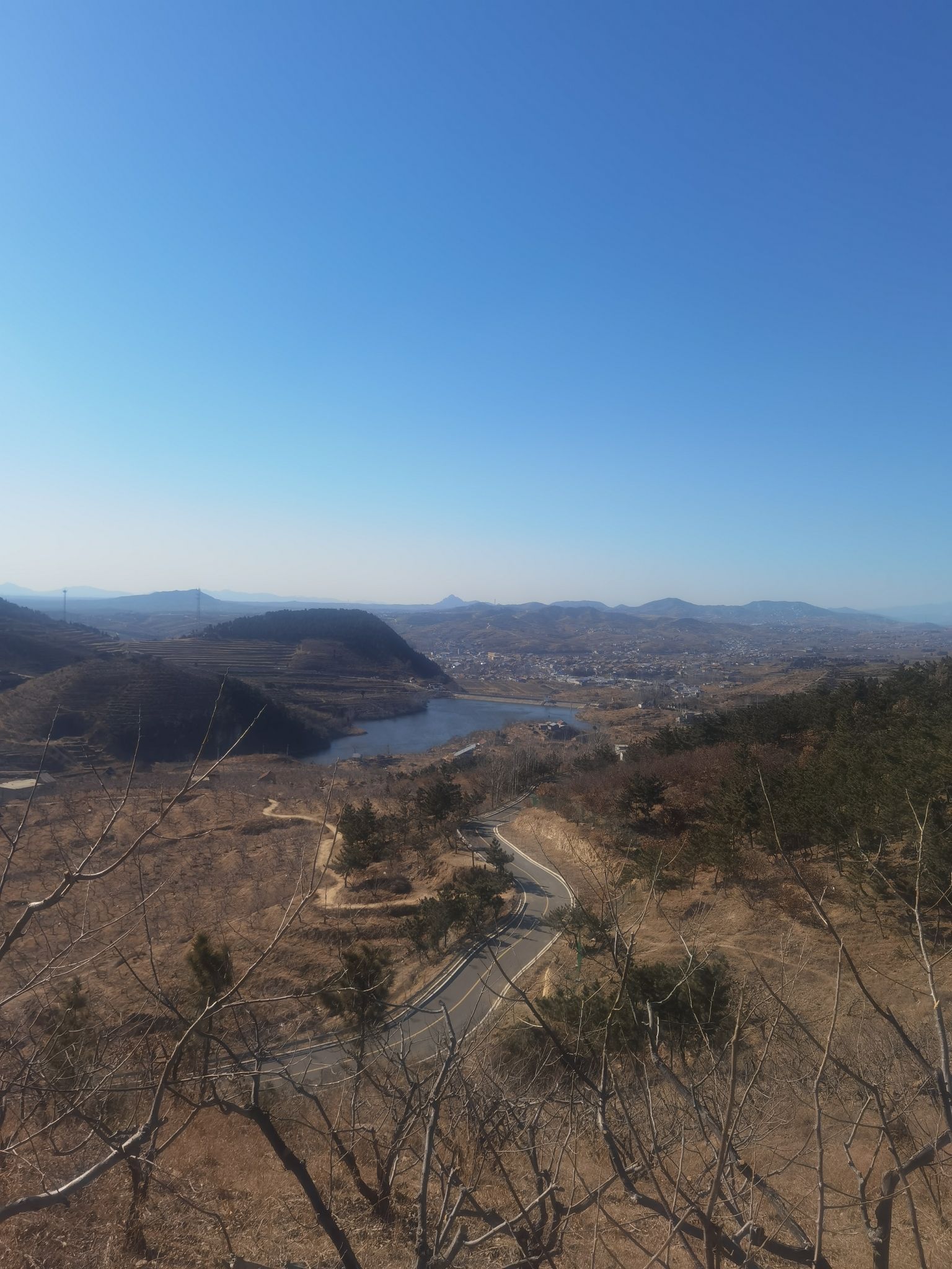 情侣树旅行图片 3
