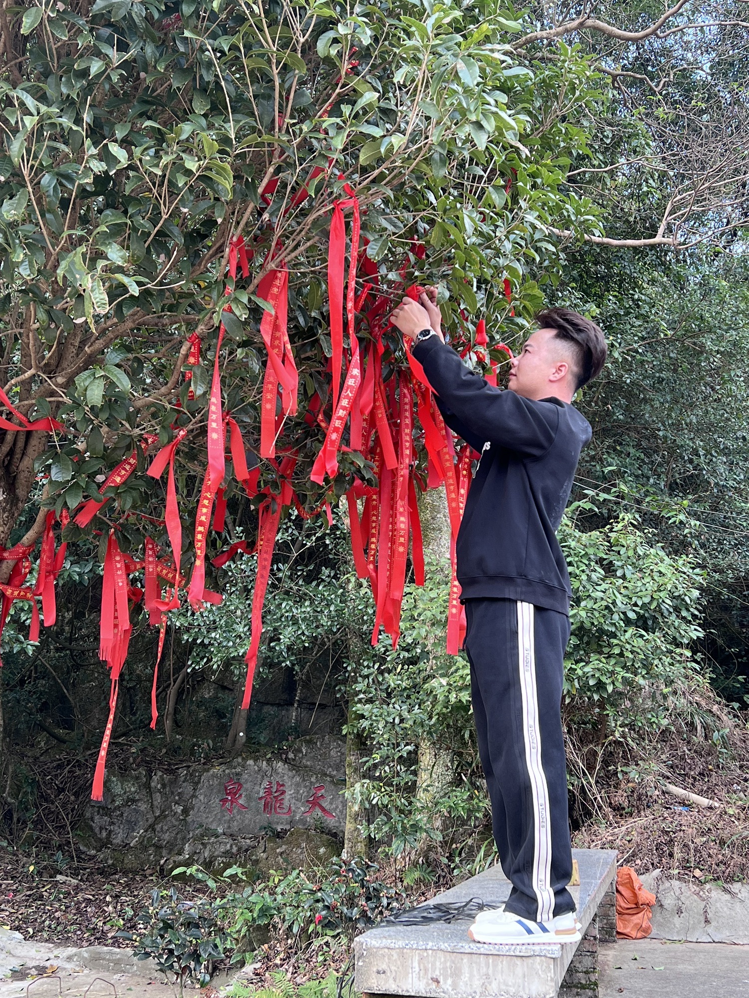津龙祠旅行图片 3