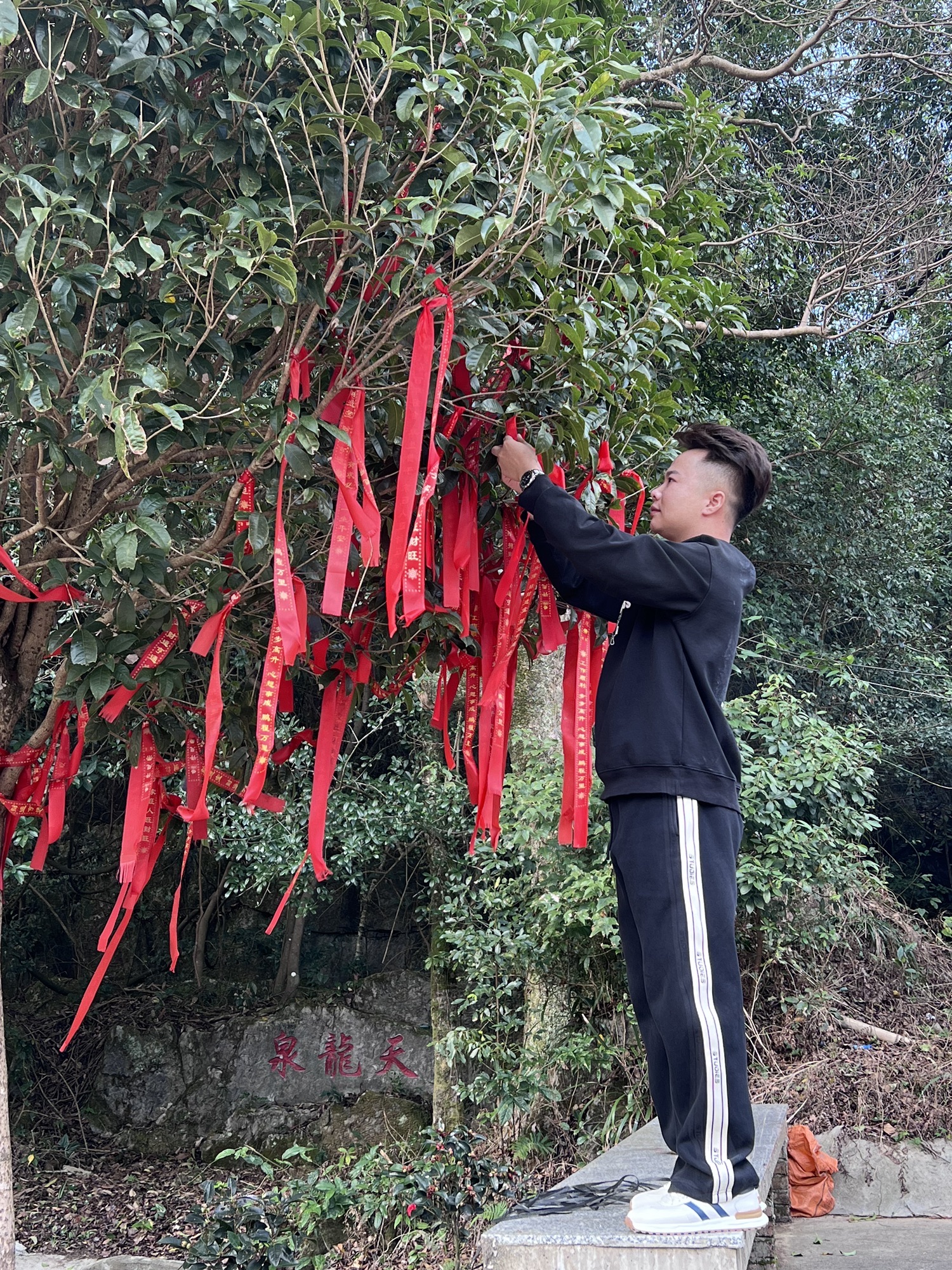津龙祠旅行图片 2